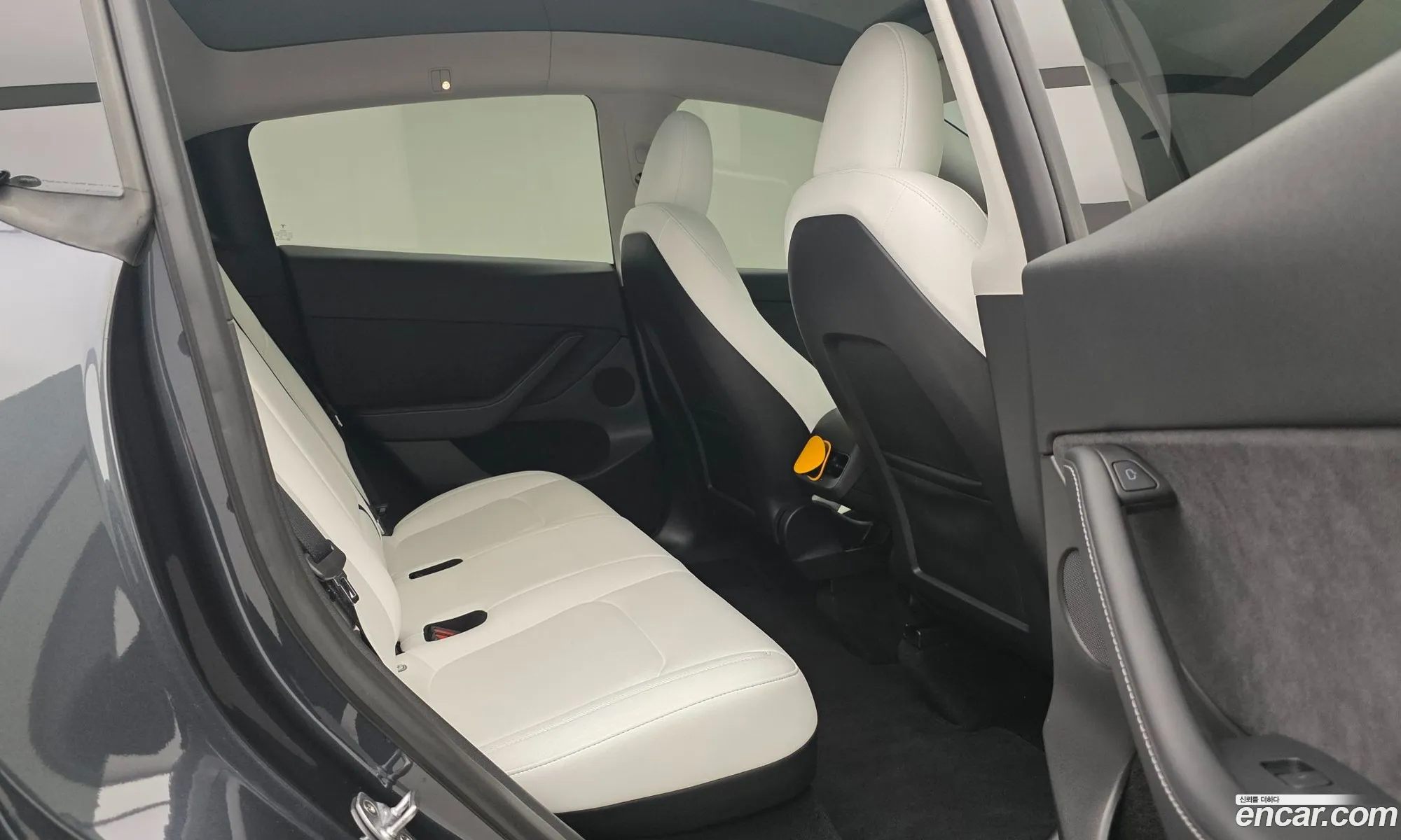 Tesla Model Y 2025 — 19