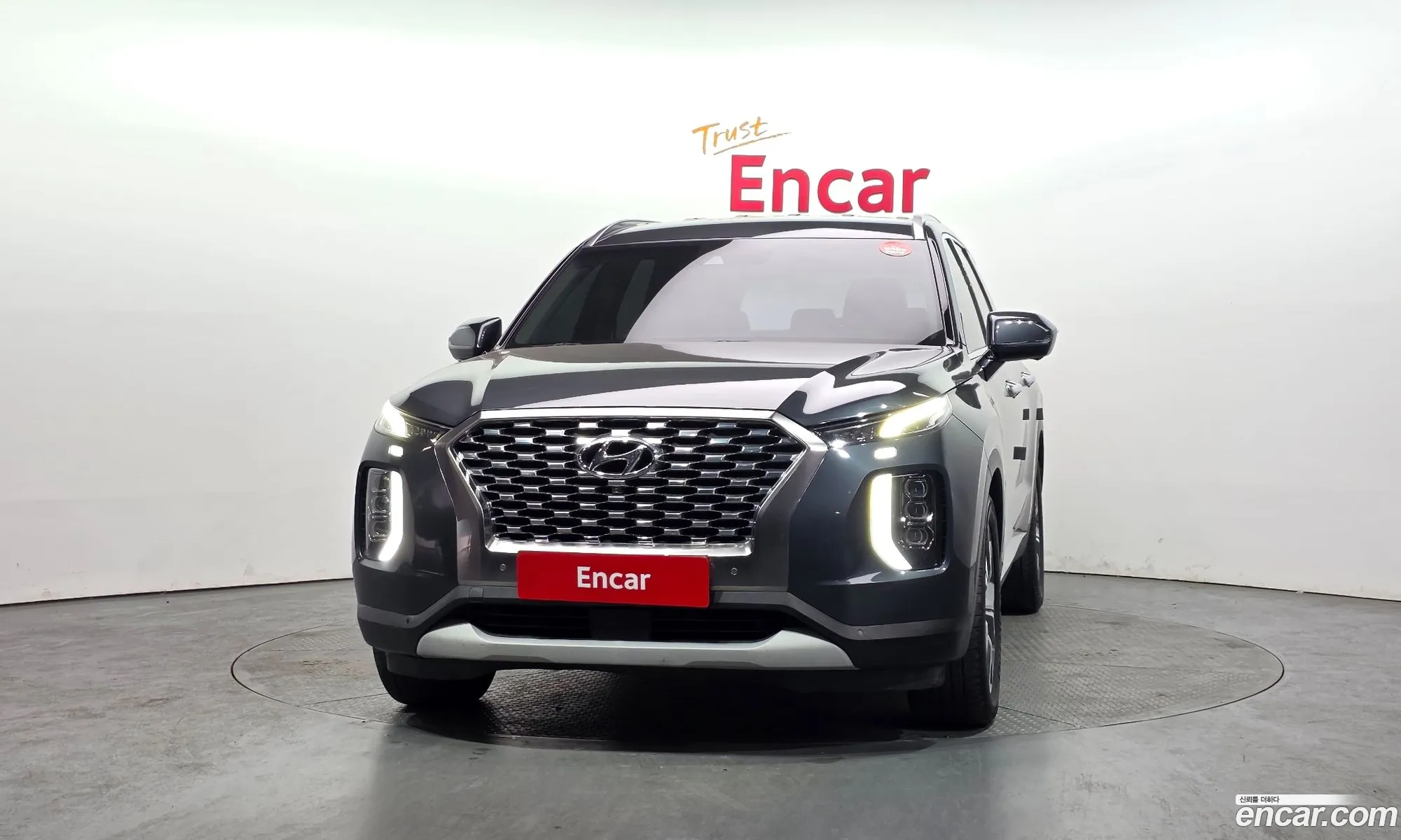 Hyundai Palisade 2019 — 14