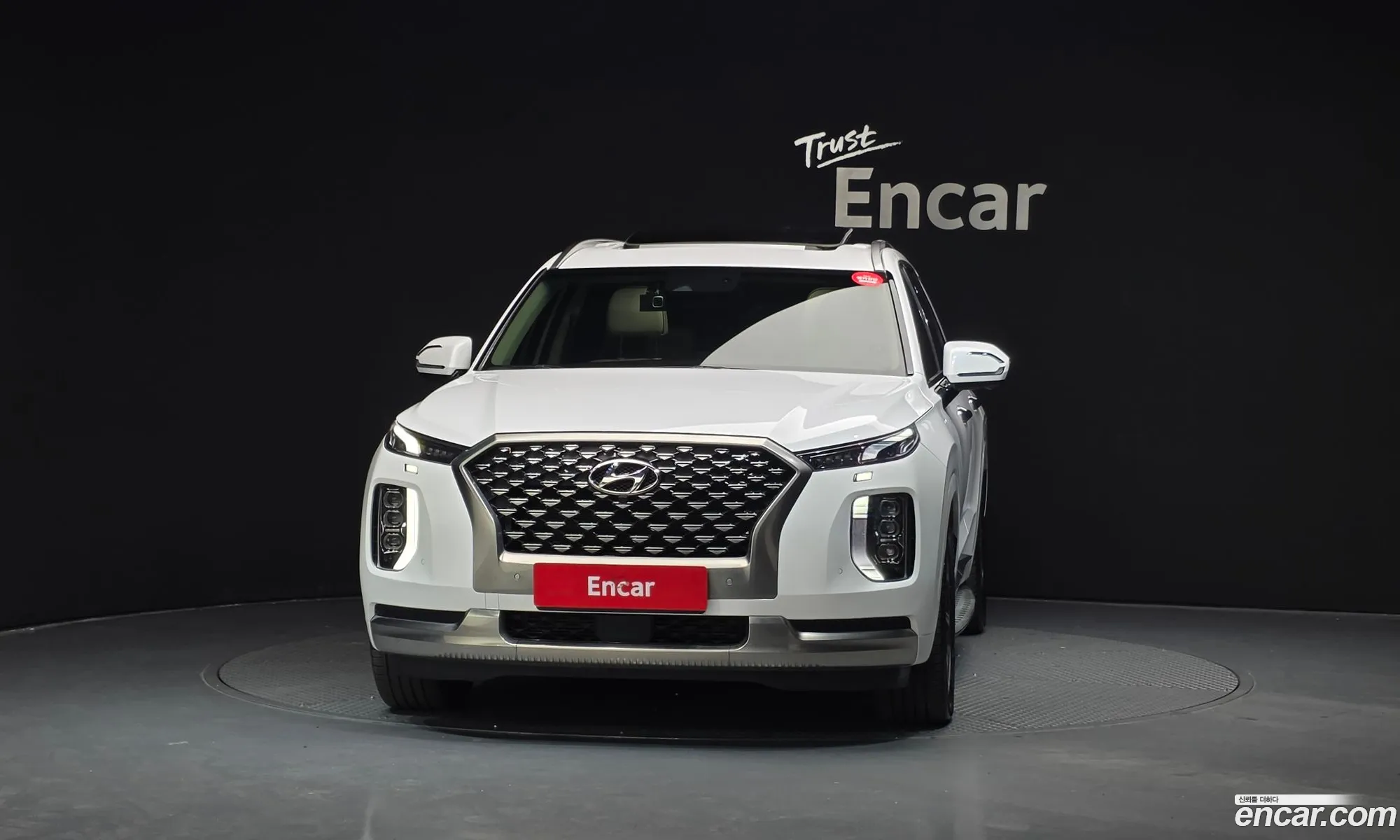 Hyundai Palisade 2021 — 16
