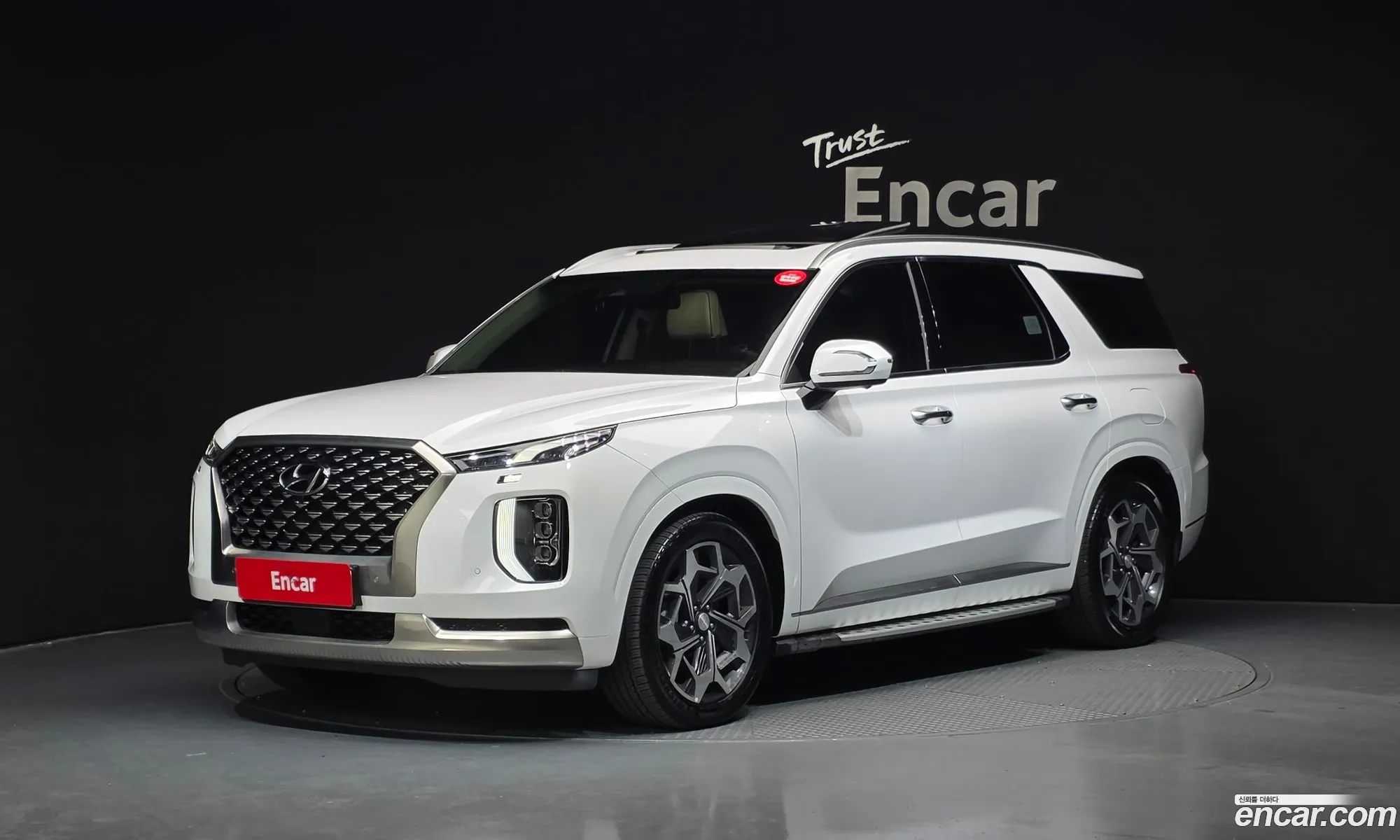 Hyundai Palisade 2021 — 9