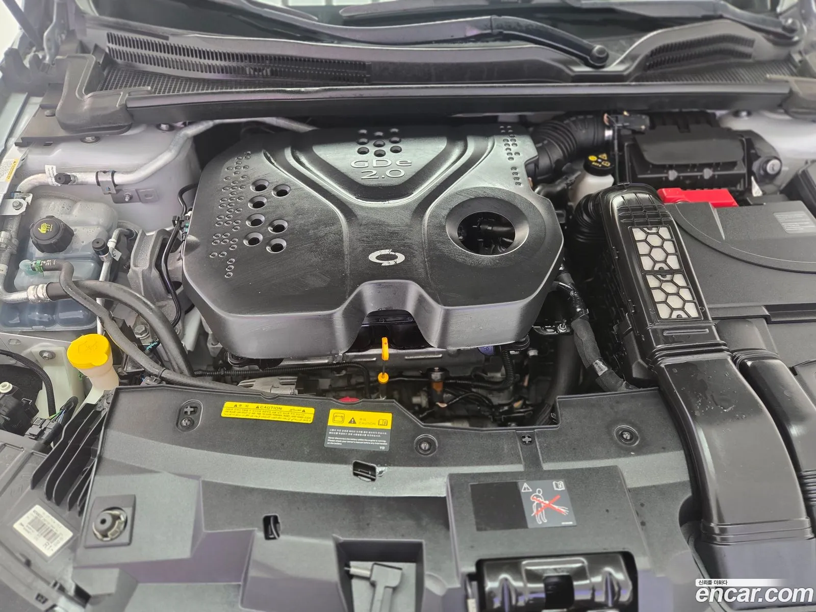 Renault Korea (Samsung) SM6 2016 — 15