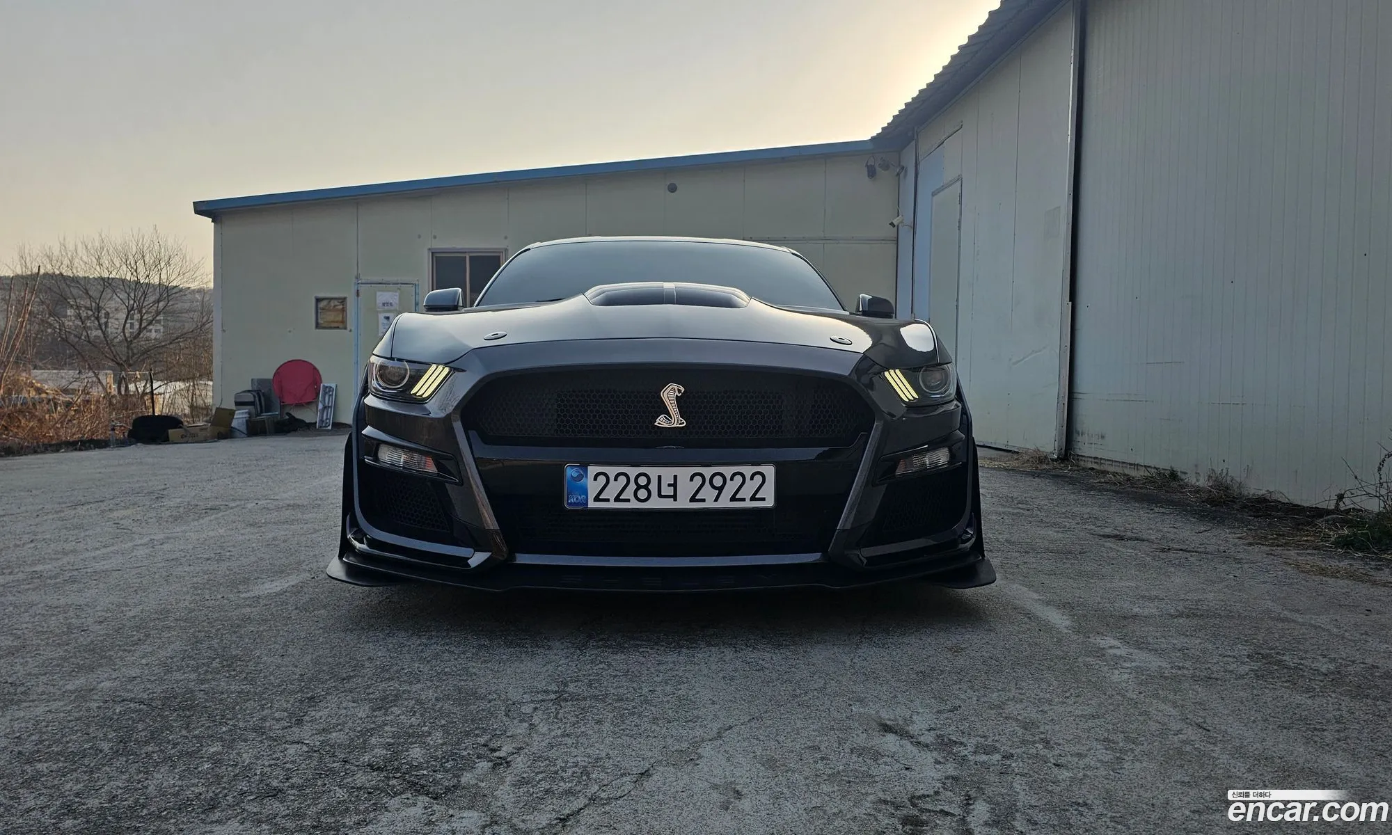 Ford Mustang 2016 — 2