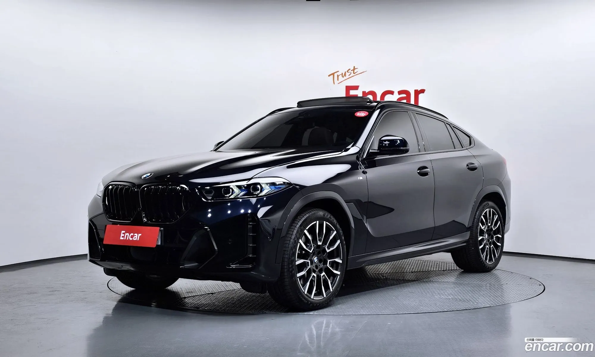 BMW X6 2025 WBA31EX03S9135563 — 2