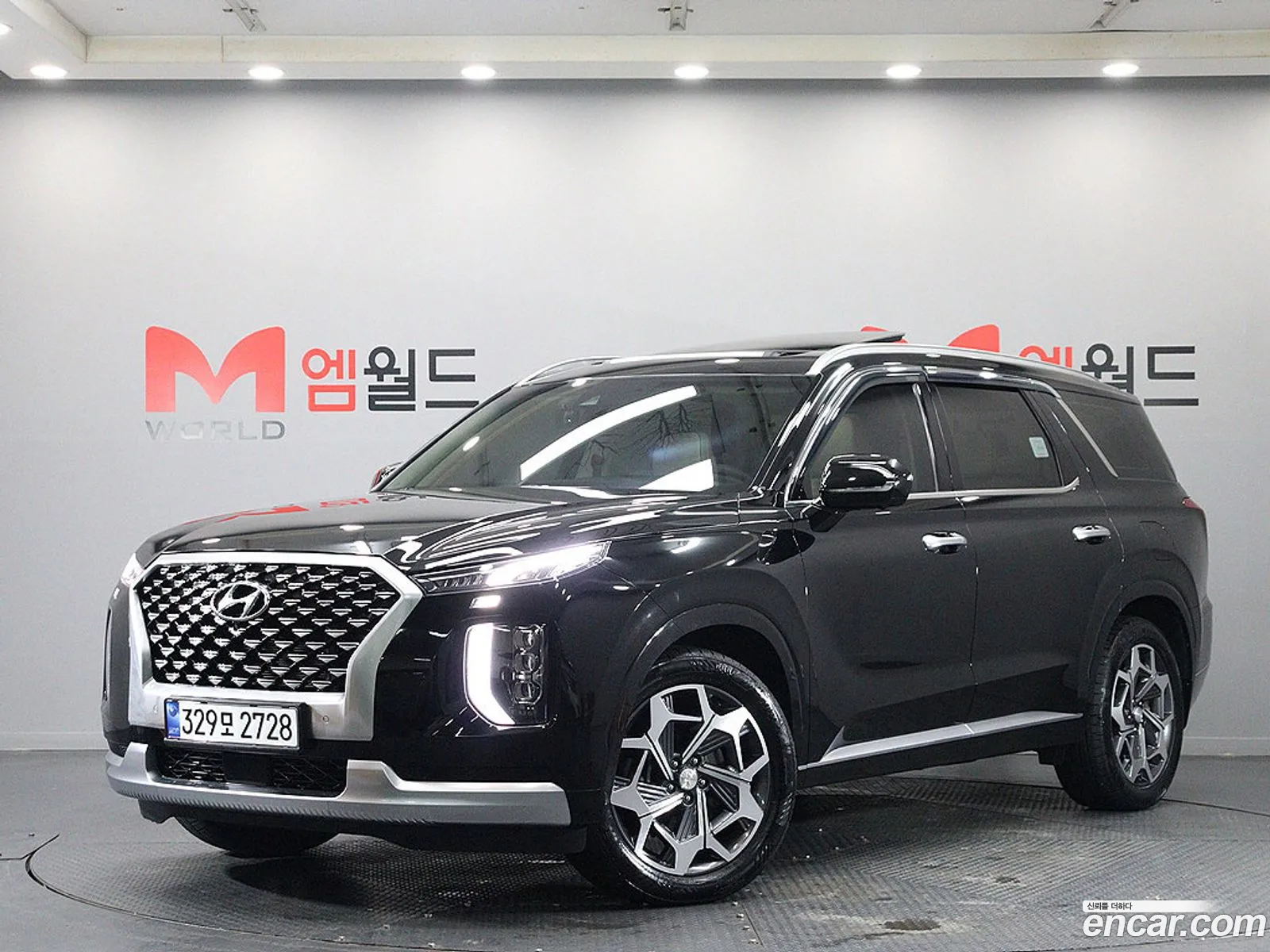 Hyundai Palisade 2021 — 17