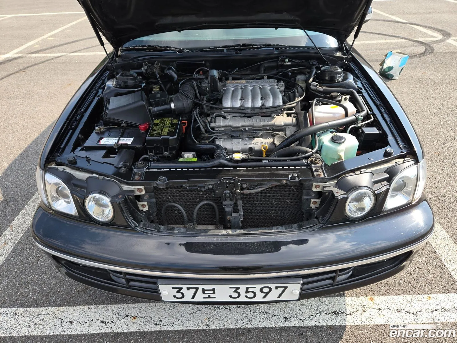 Hyundai Dynasty 2004 — 14