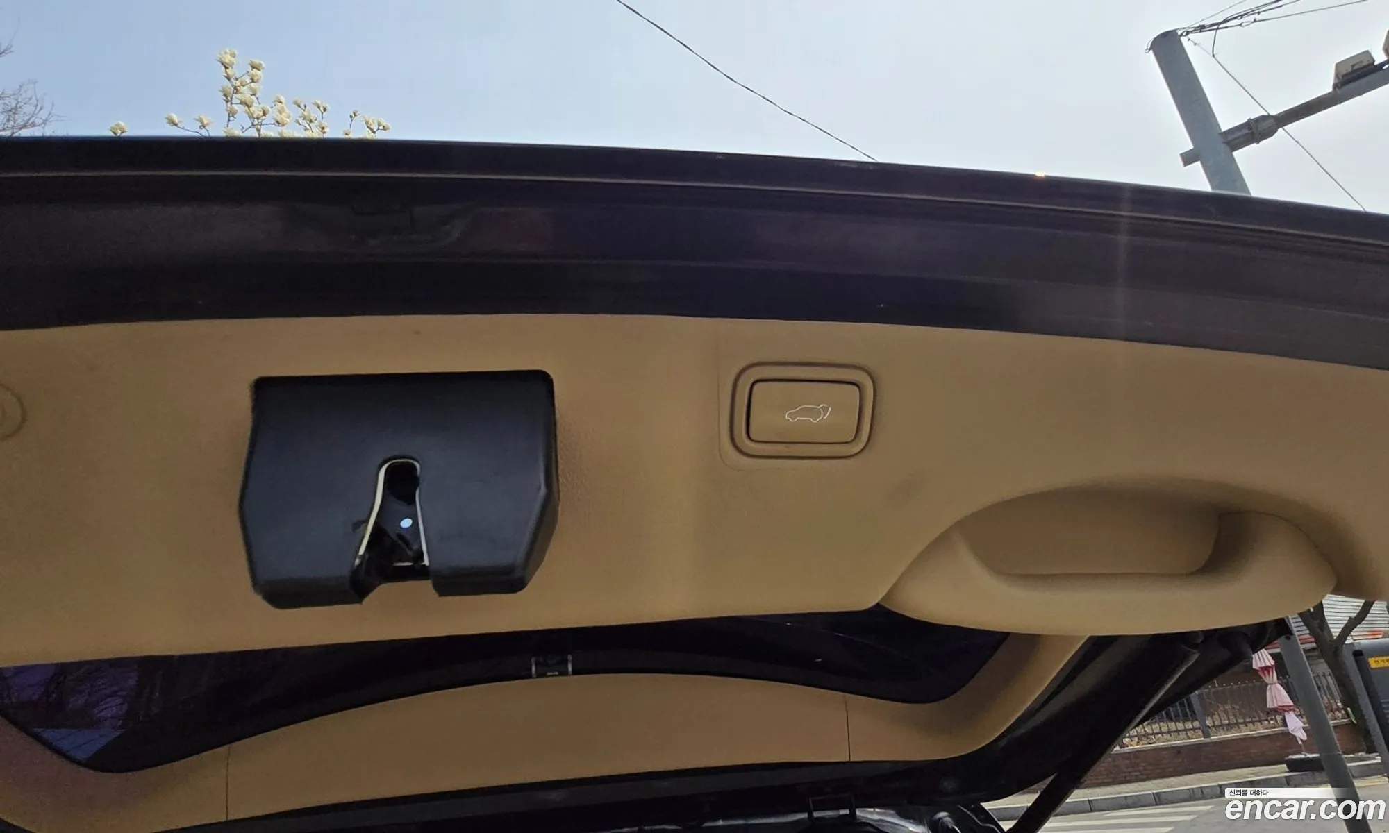 Kia Carnival 2019 — 3