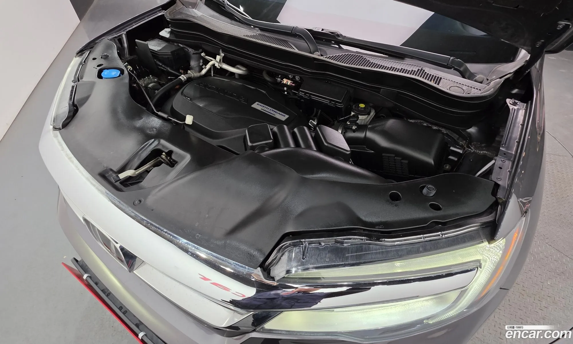 Honda Pilot 2019 5FNYF686111111111 — 17