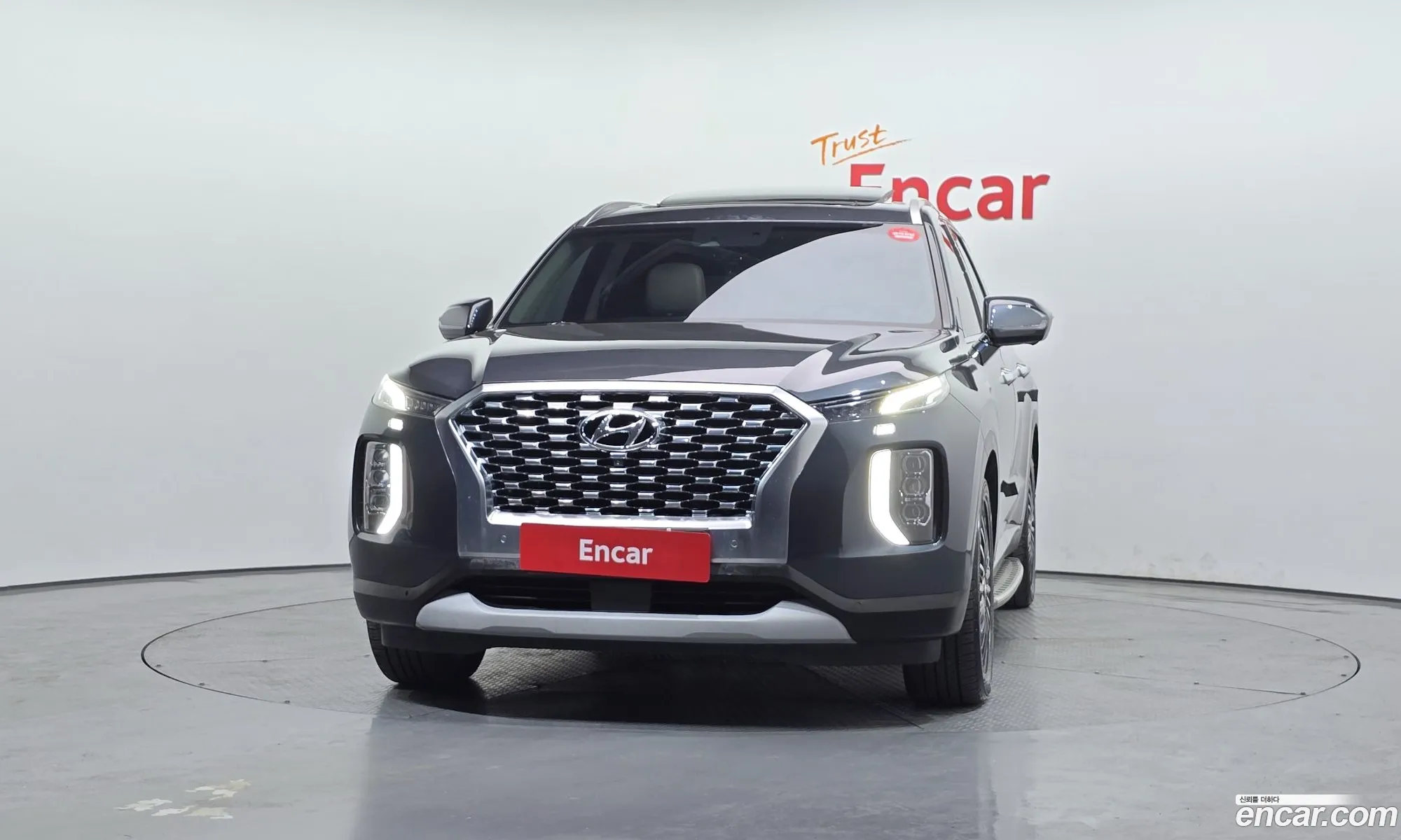 Hyundai Palisade 2020 — 12