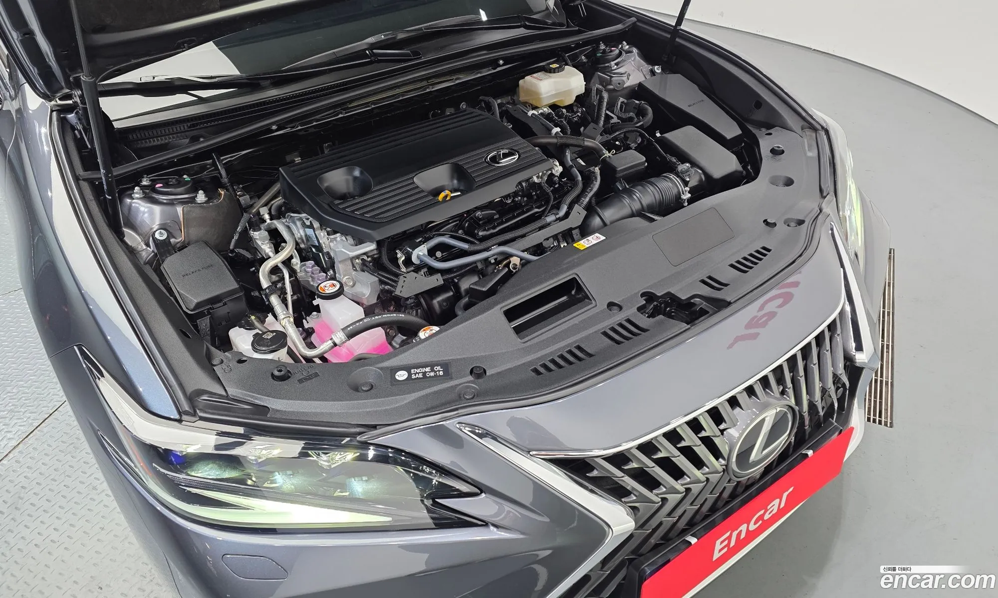 Lexus ES300h 7th Gen 2024 — 19
