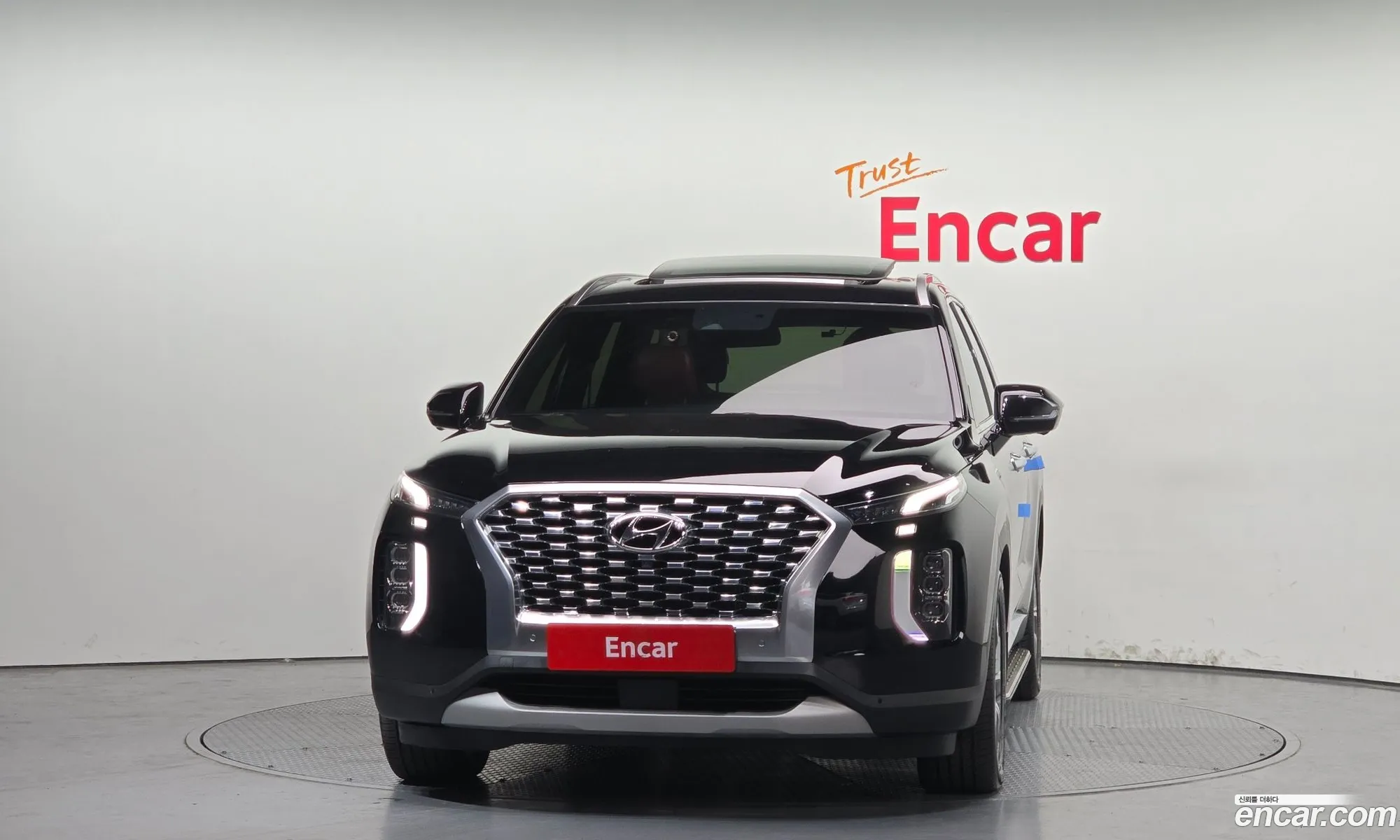 Hyundai Palisade 2020 — 16