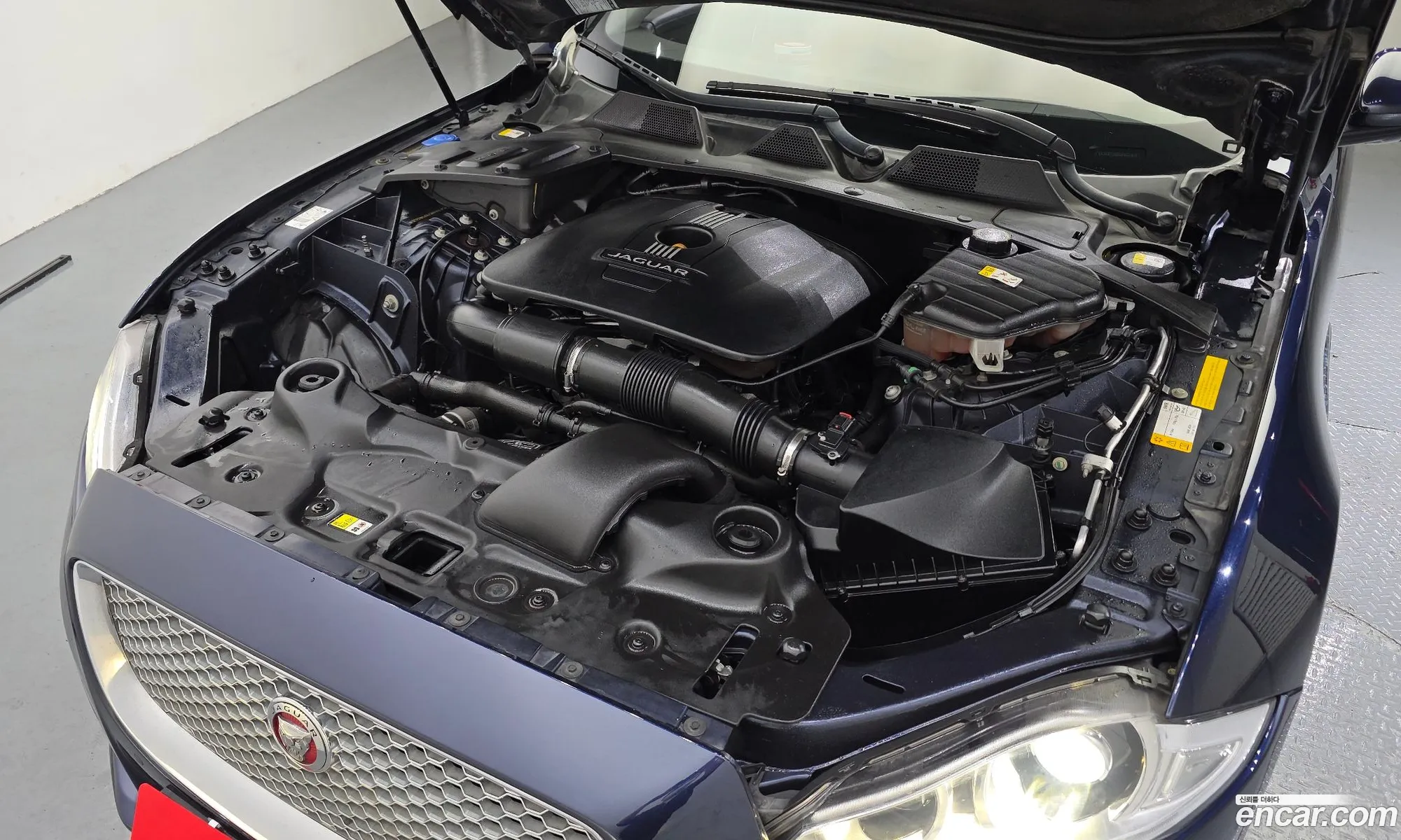 Jaguar XJ 2016 SAJAA10S9GPW01628 — 10