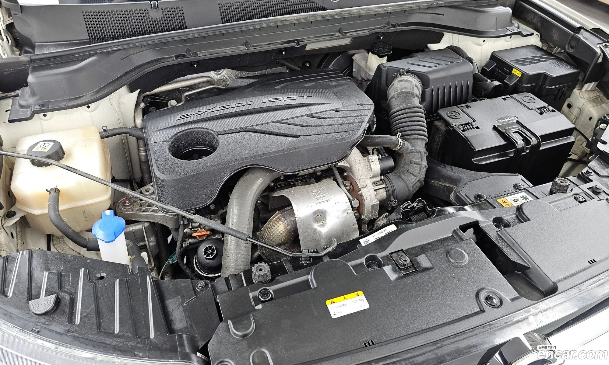 KG Mobility (SsangYong) Beautiful Korando 2021 — 3