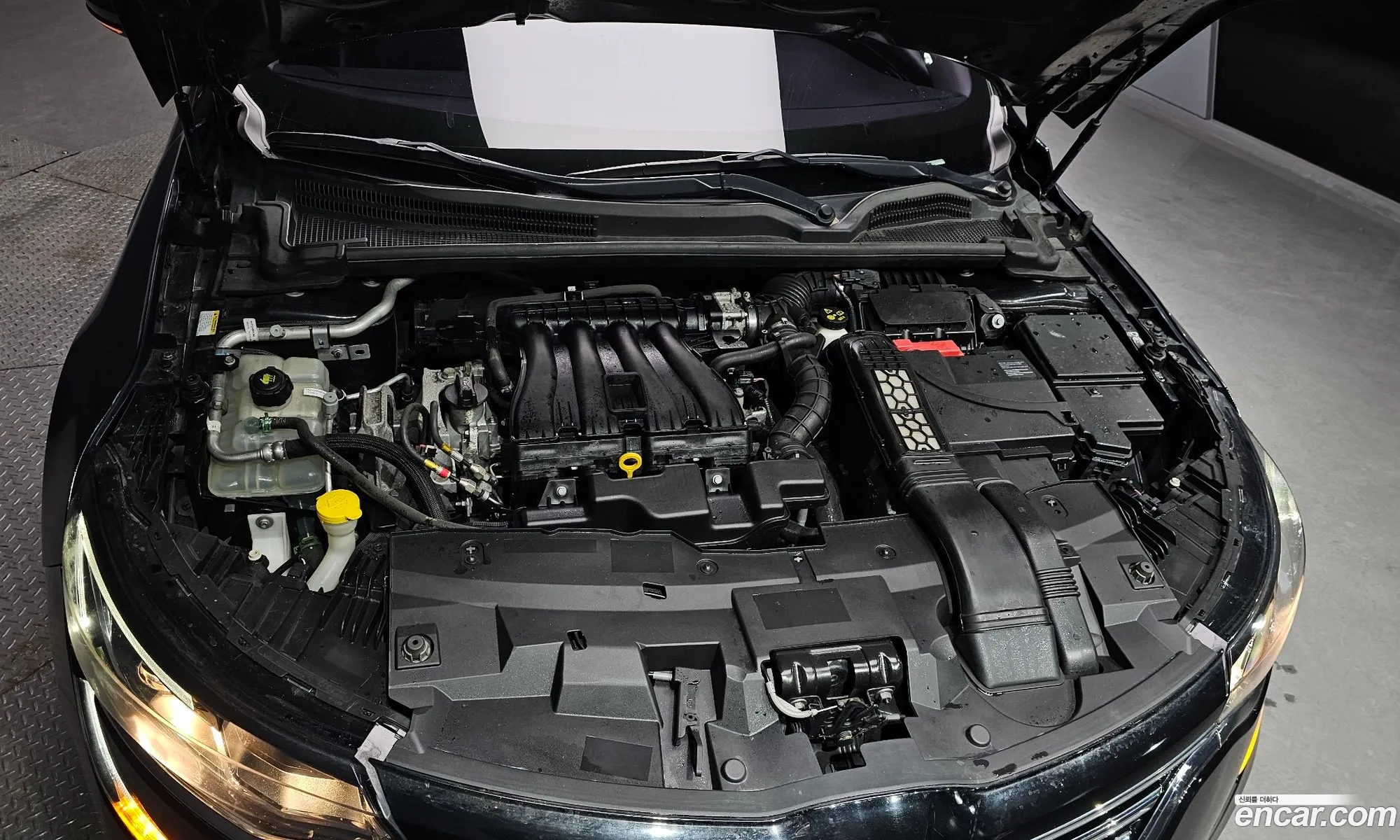 Renault Korea (Samsung) SM6 2018 — 14