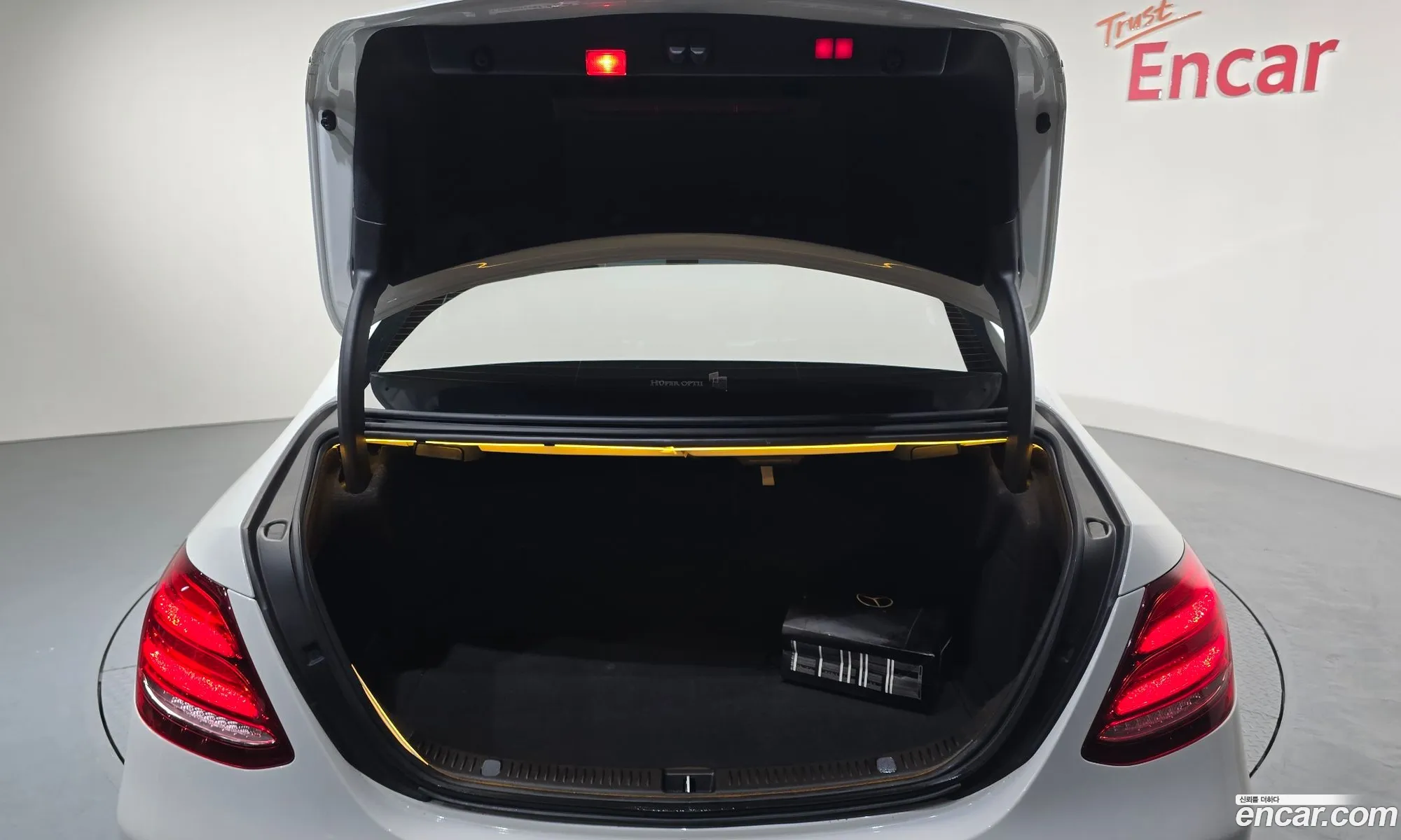 Mercedes-Benz E-Class W213 2019 WDDZF4FB1LA701625 — 13