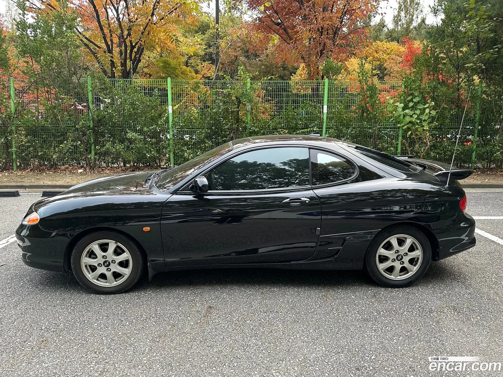 Hyundai Tiburon