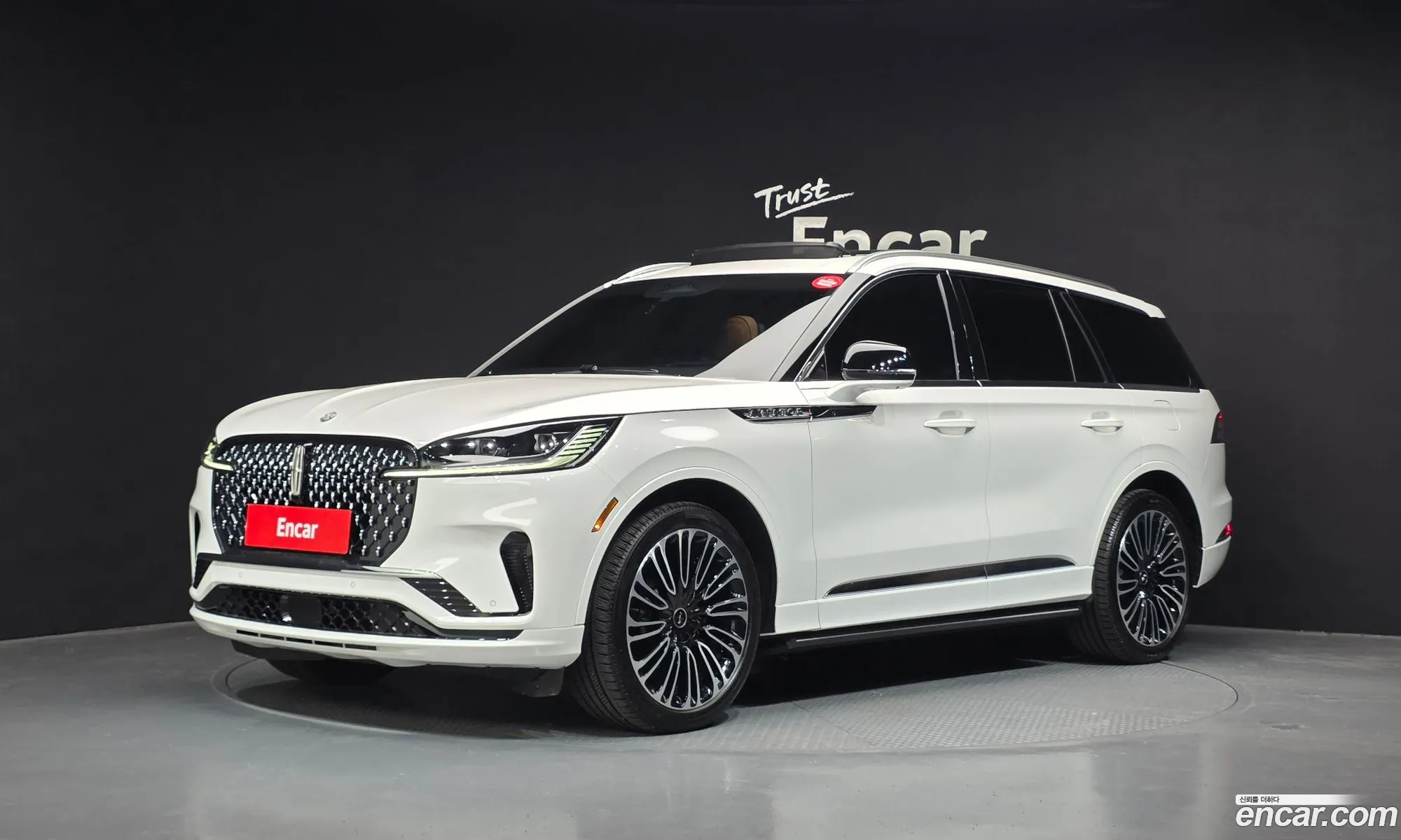 Lincoln Aviator 2025 5LM5J9XC4SGL09514 — 19