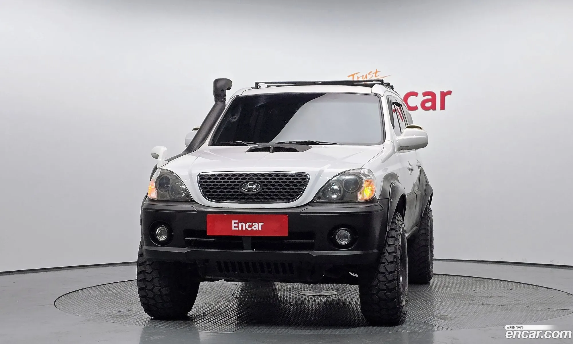 Hyundai Terracan 2003 — 19