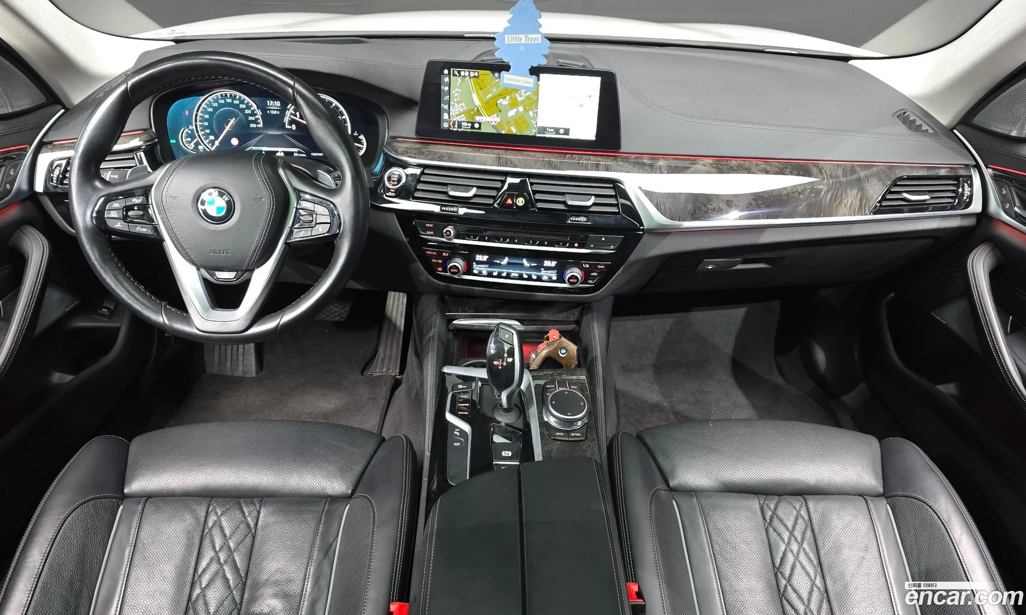 BMW 5 Series 2018 — 14
