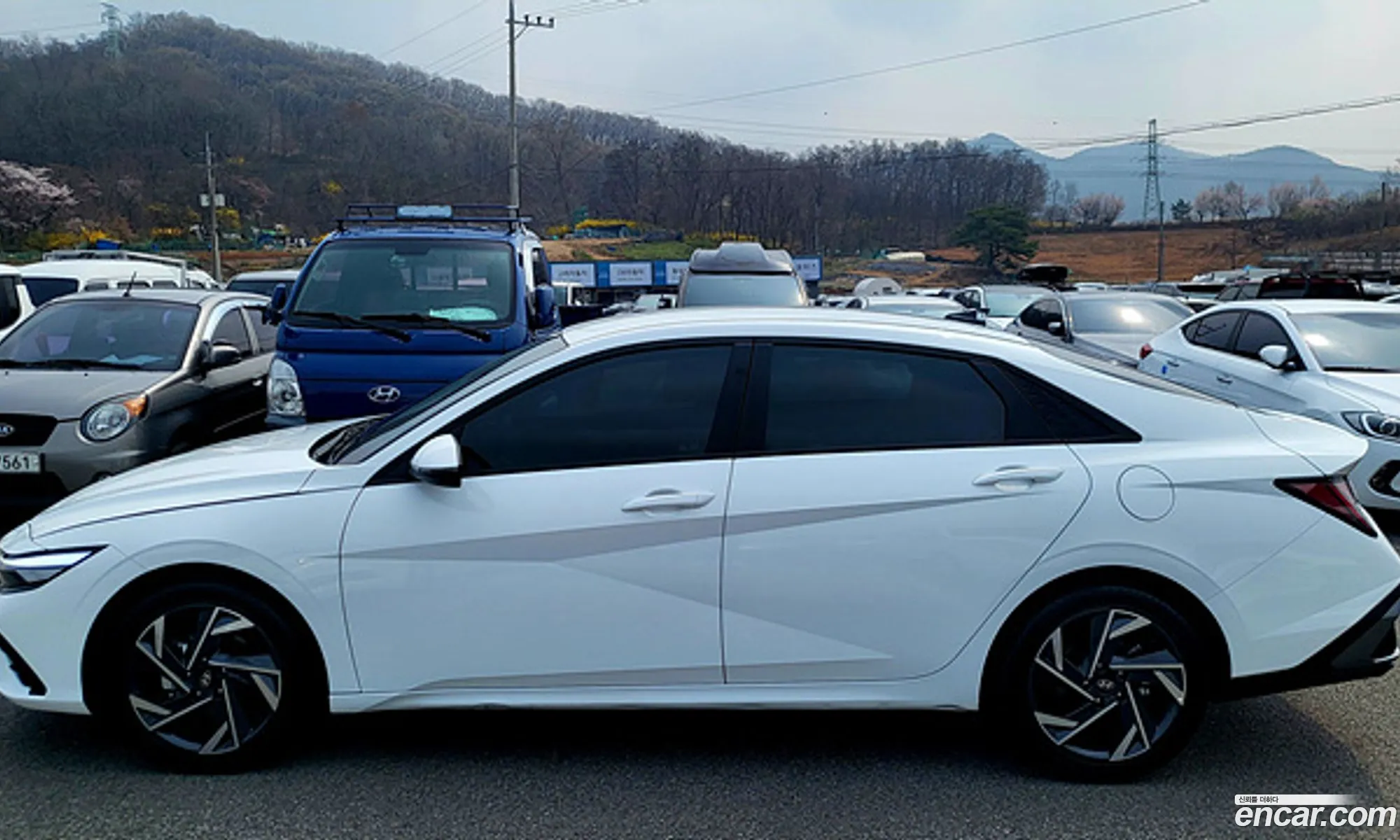 Hyundai Elantra Hybrid 2024 — 3