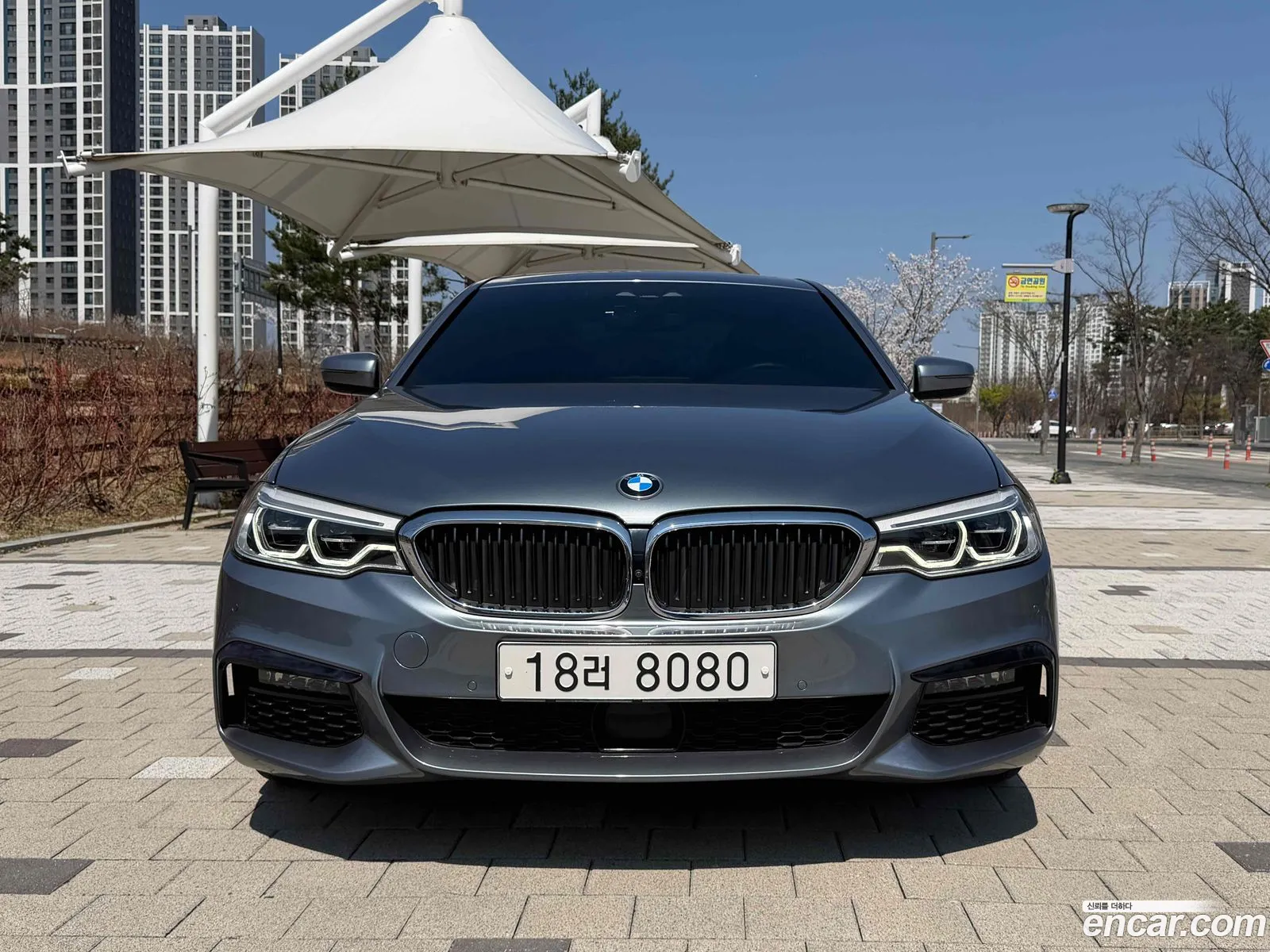 BMW 5 Series 2019 — 15