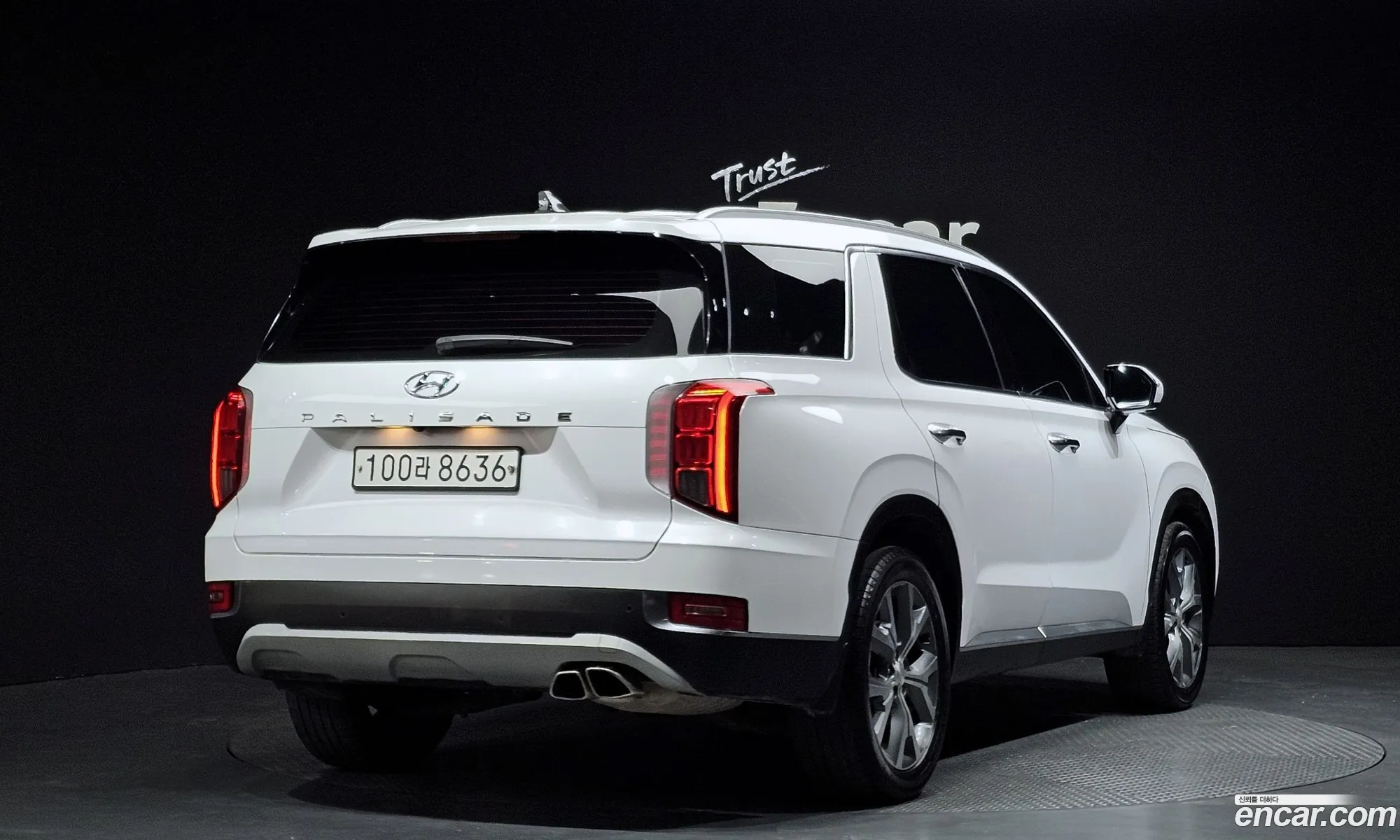 Hyundai Palisade 2019 — 11