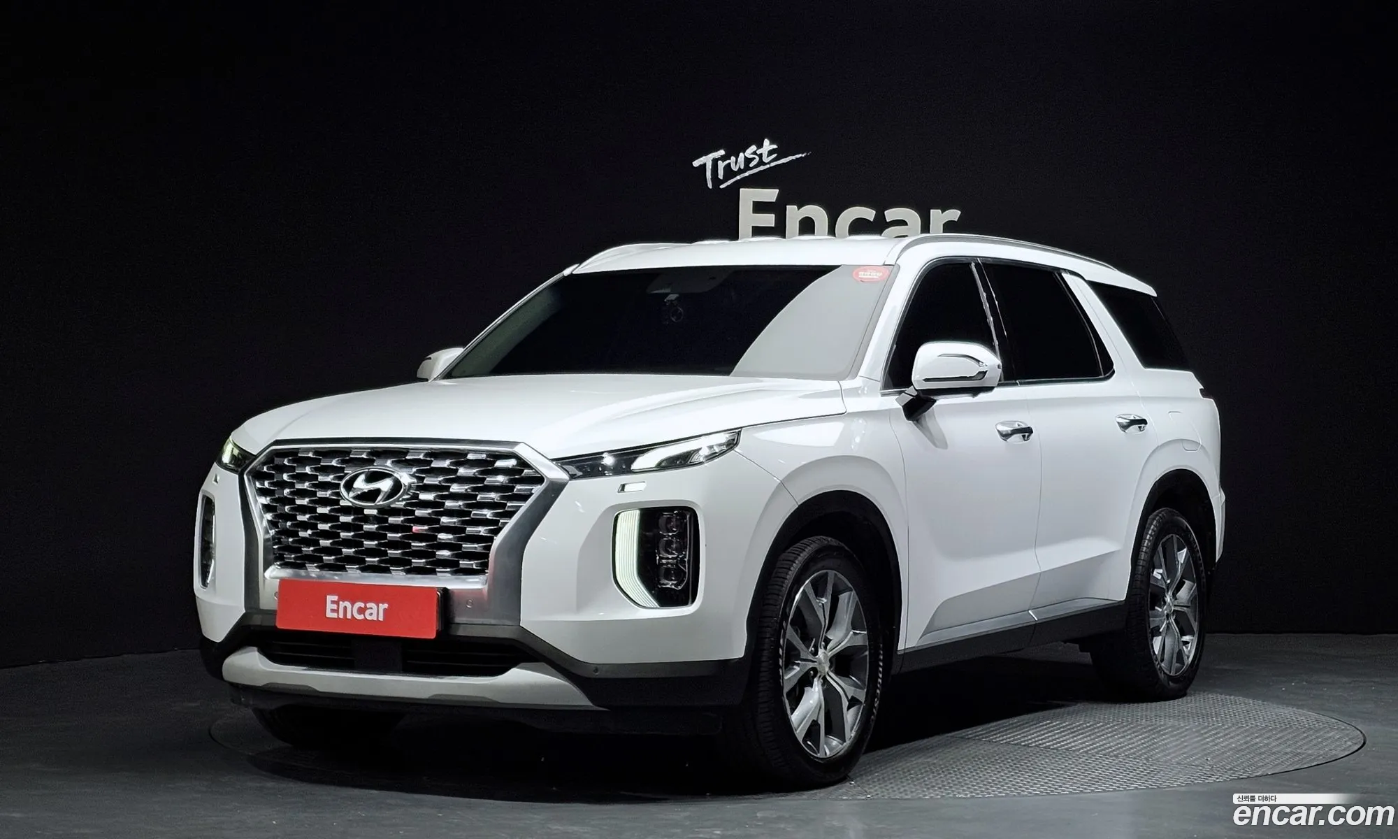 Hyundai Palisade 2019 — 20