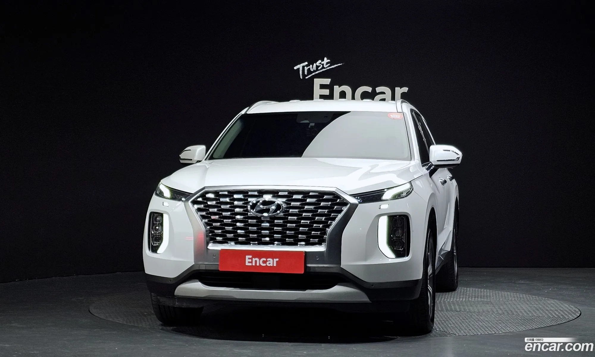 Hyundai Palisade 2019 — 16
