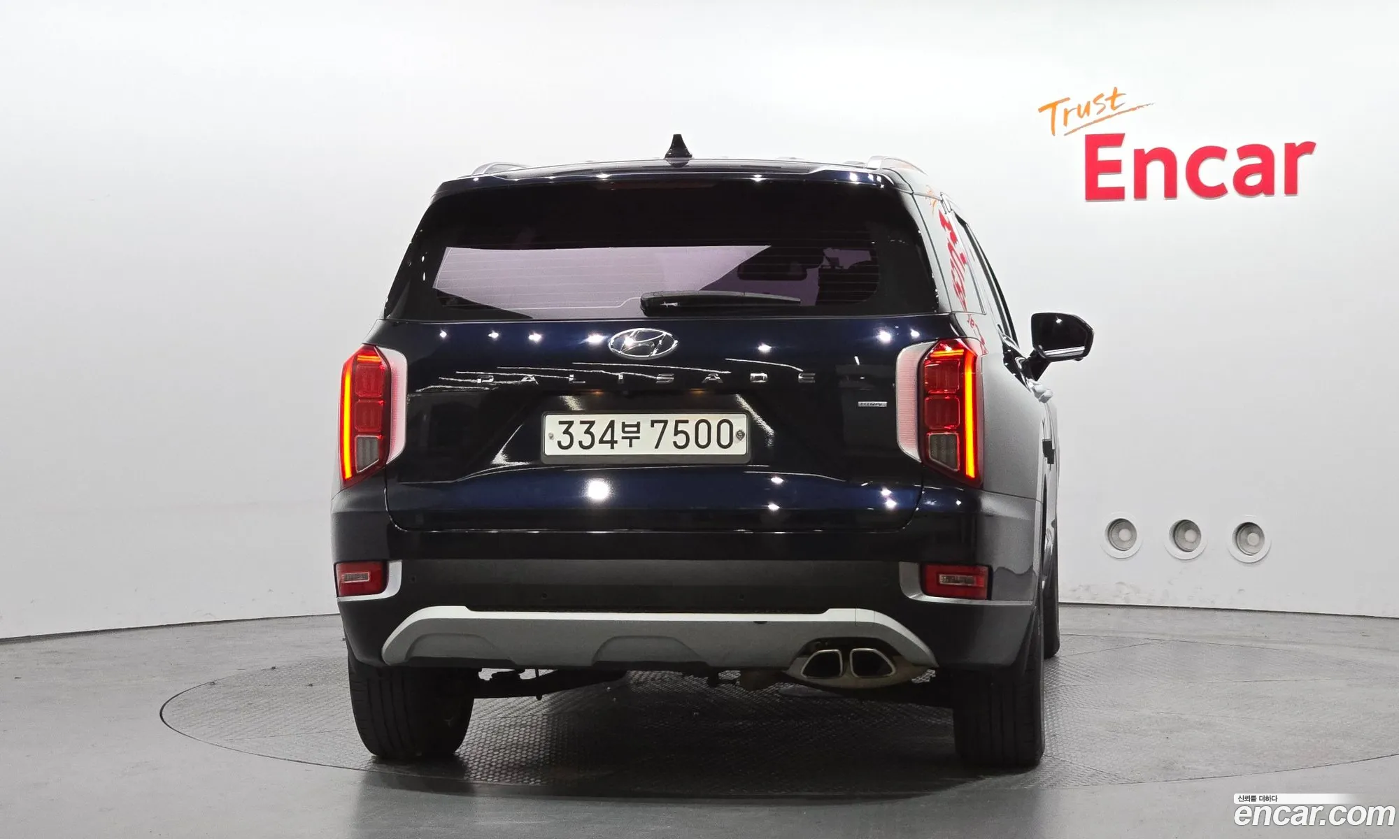 Hyundai Palisade 2019 — 12