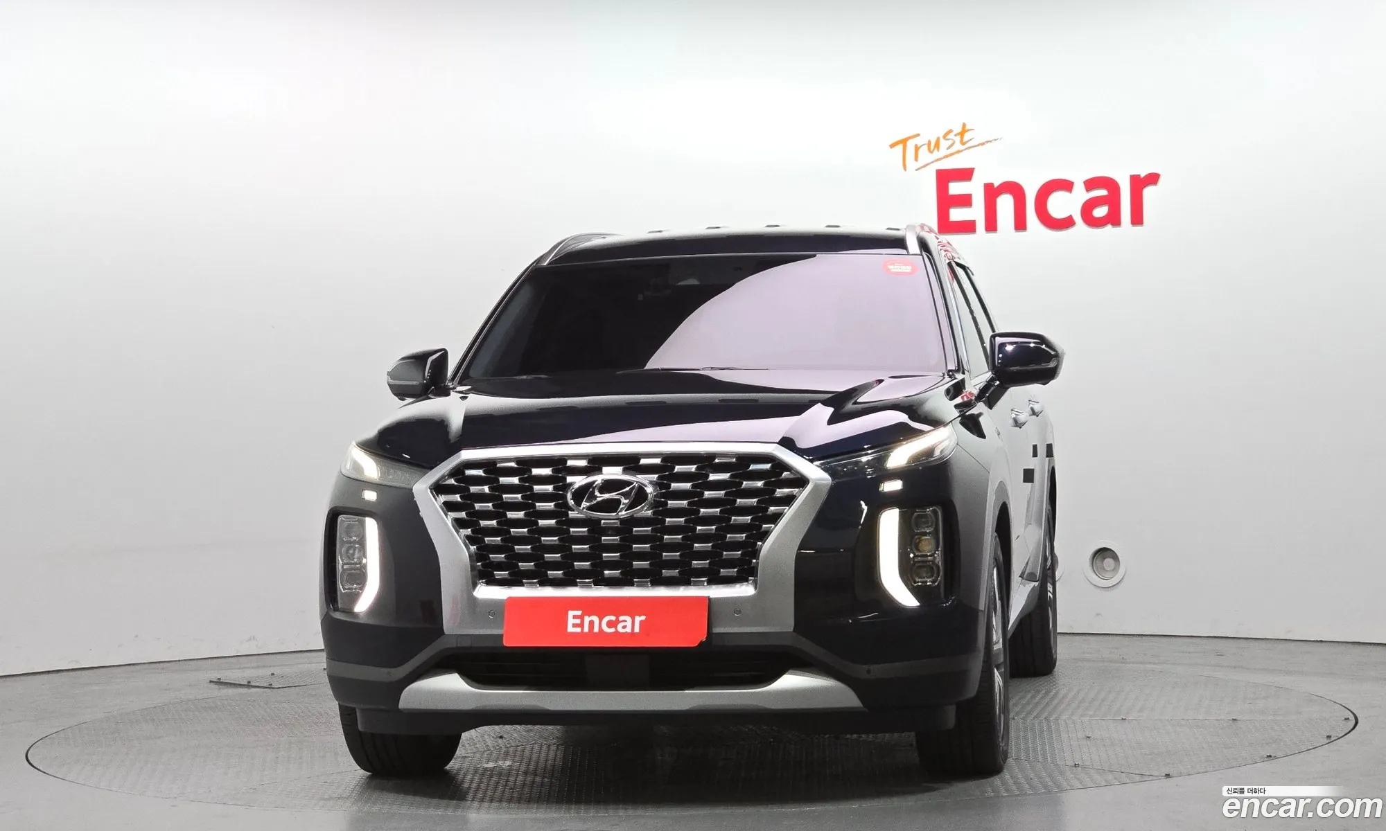 Hyundai Palisade 2019 — 13