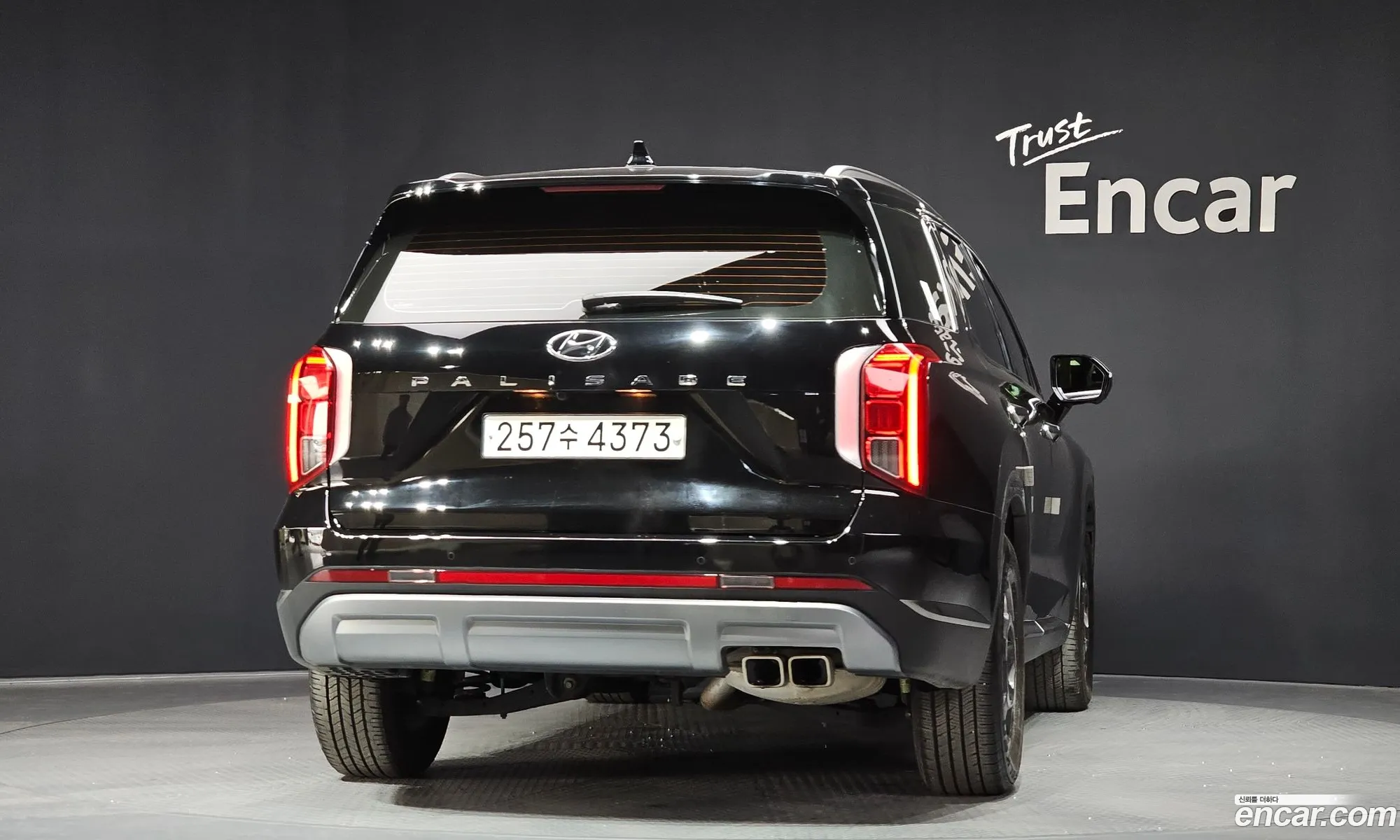 Hyundai Palisade 2022 — 12