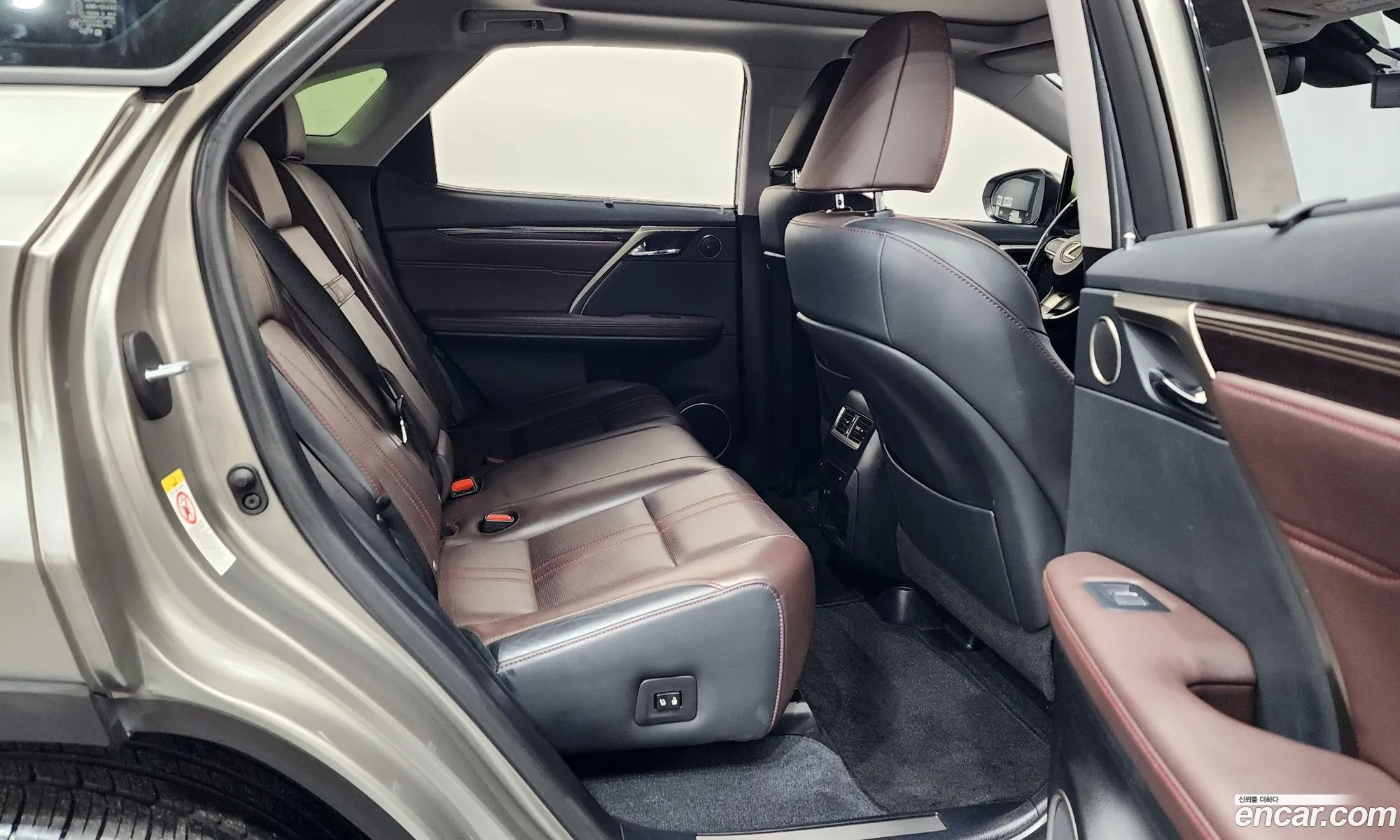 Lexus RX450h 2018 — 19