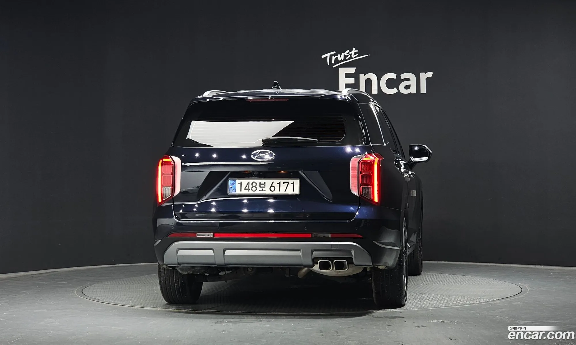 Hyundai Palisade 2023 — 19