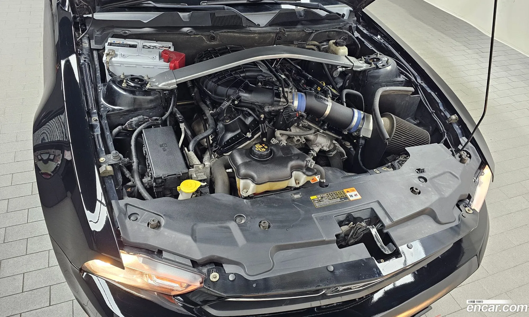 Ford Mustang 2010 1ZVBP8EM0B5118521 — 8