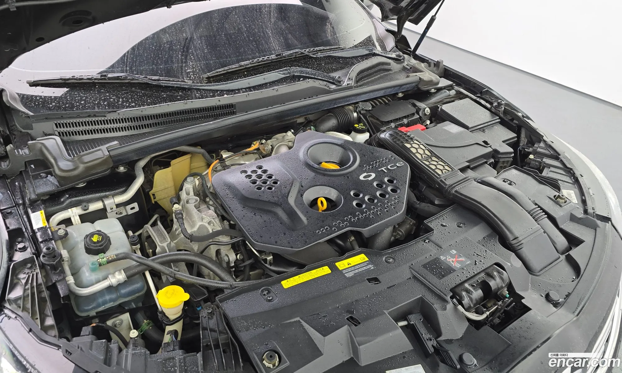 Renault Korea (Samsung) SM6 2016 — 10