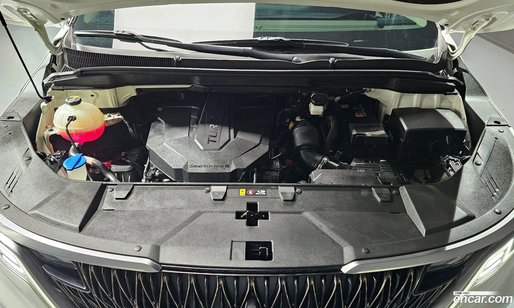 Kia Carnival 2020 — 19