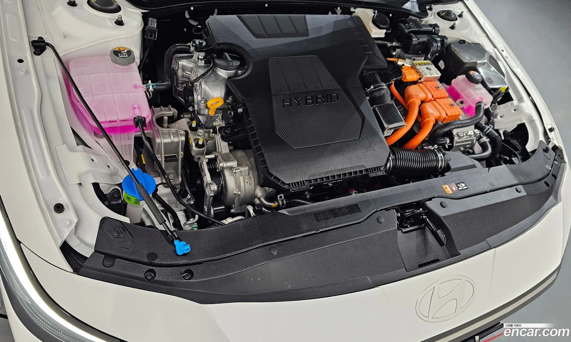 Hyundai Elantra Hybrid 2025 — 12