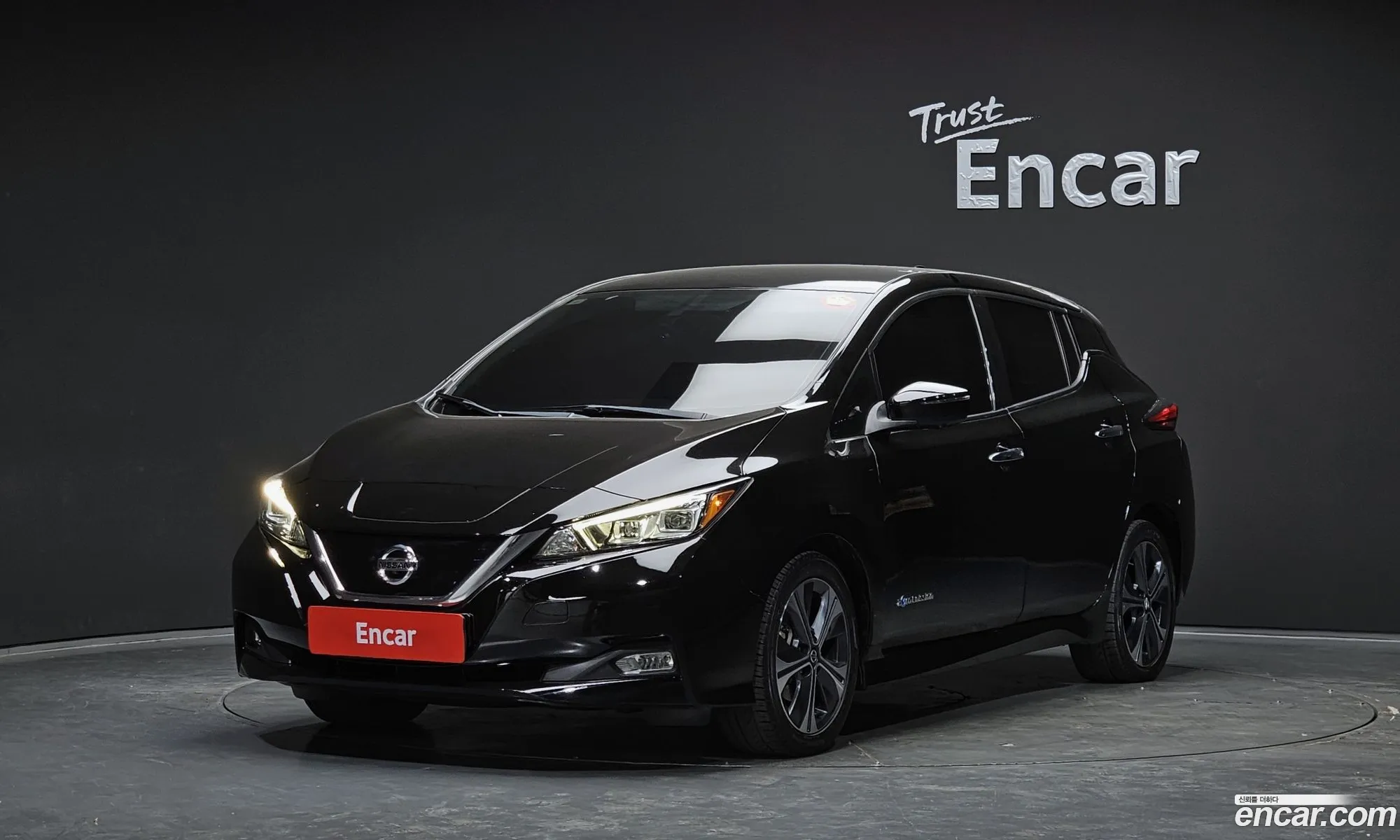 Nissan Leaf 2019 1N4AZ1CP1KC307418 — 12