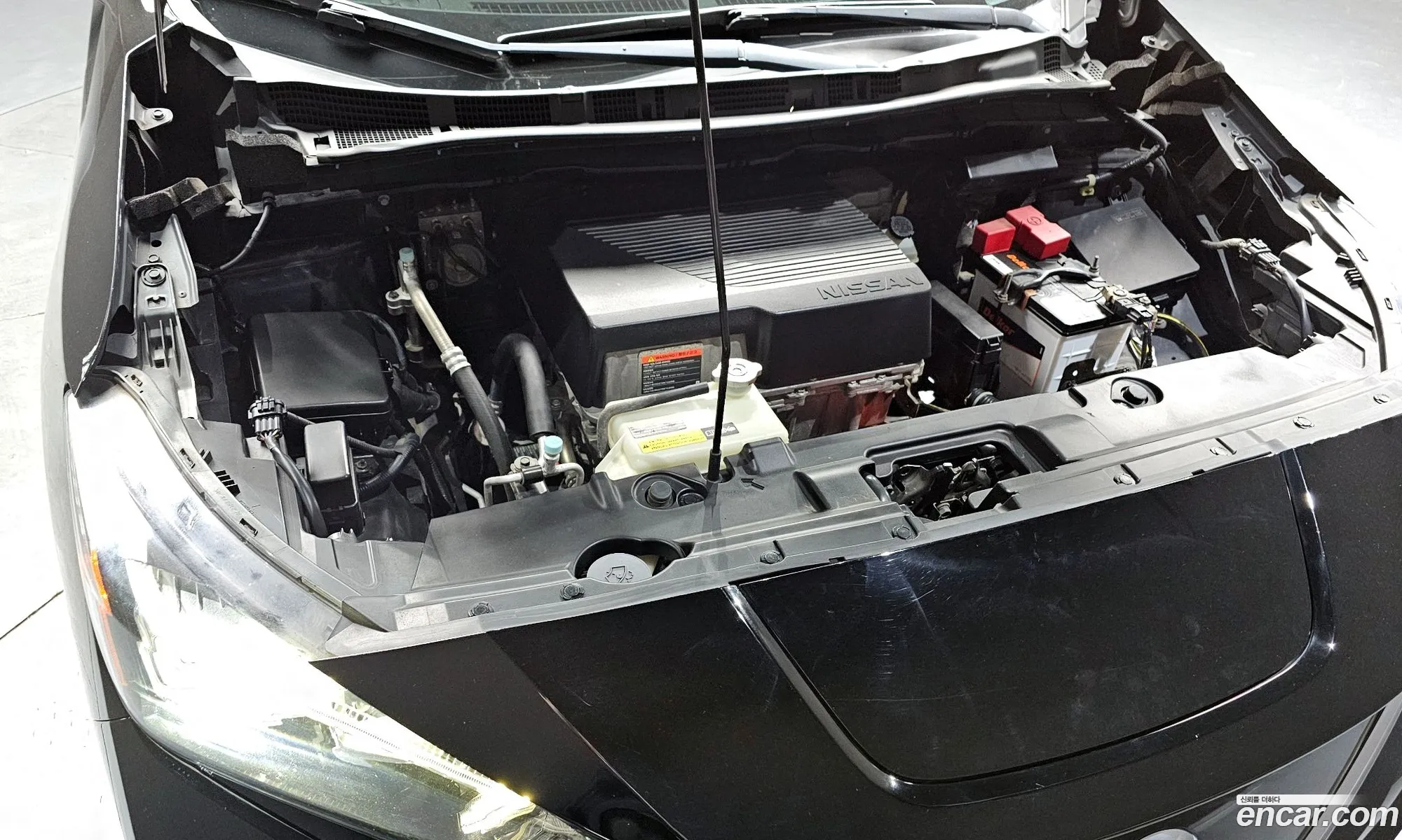 Nissan Leaf 2019 1N4AZ1CP1KC307418 — 3