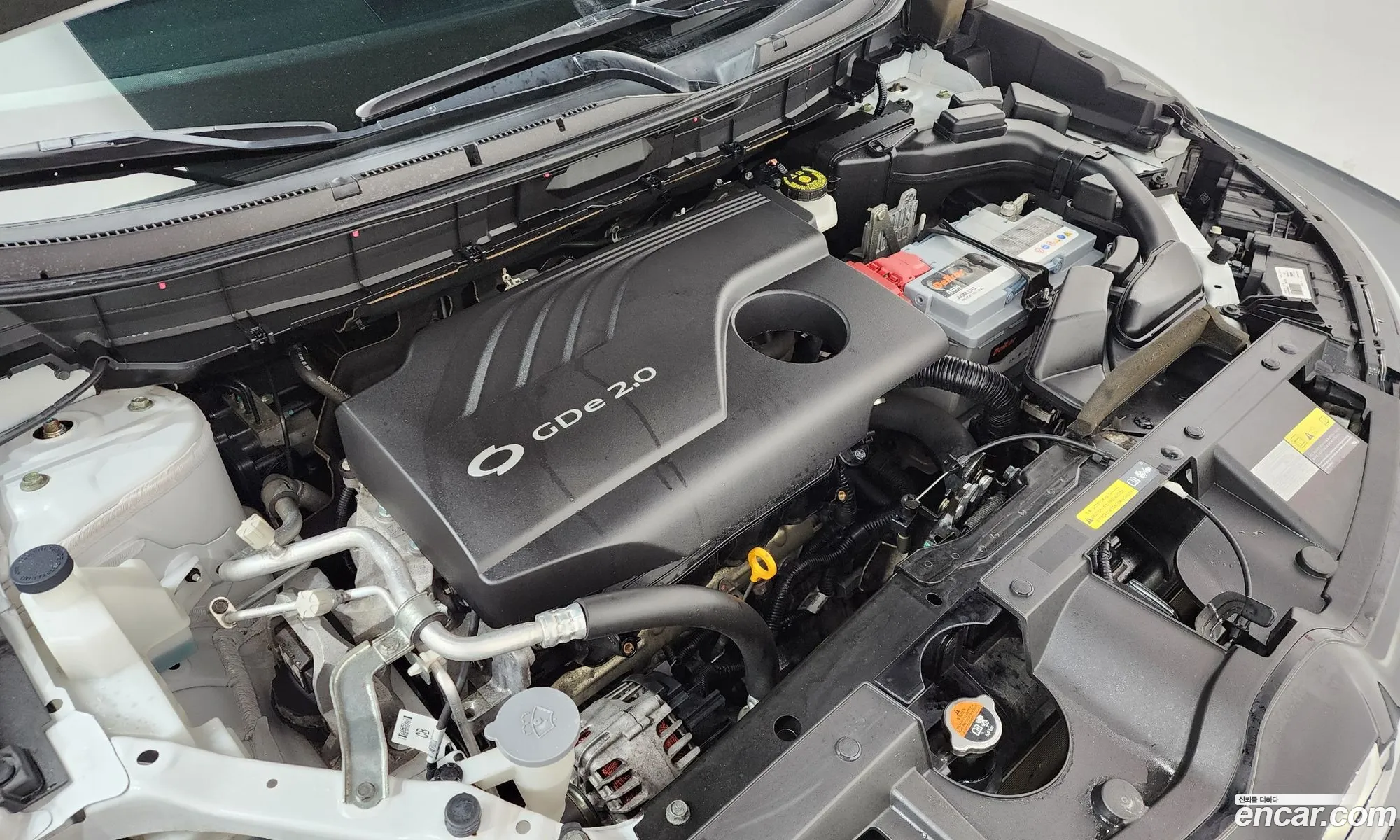 Renault Korea (Samsung) QM6 2019 — 19
