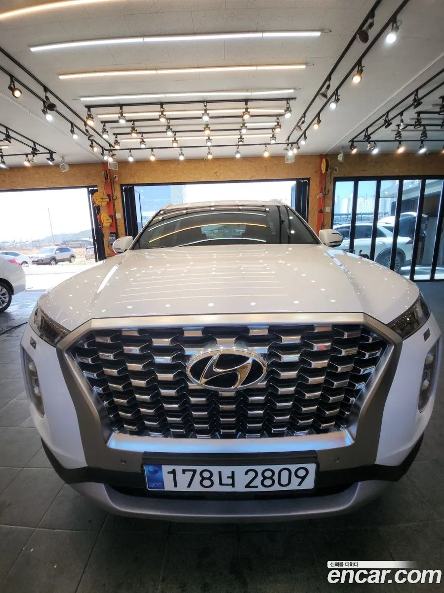 Hyundai Palisade 2020 — 11
