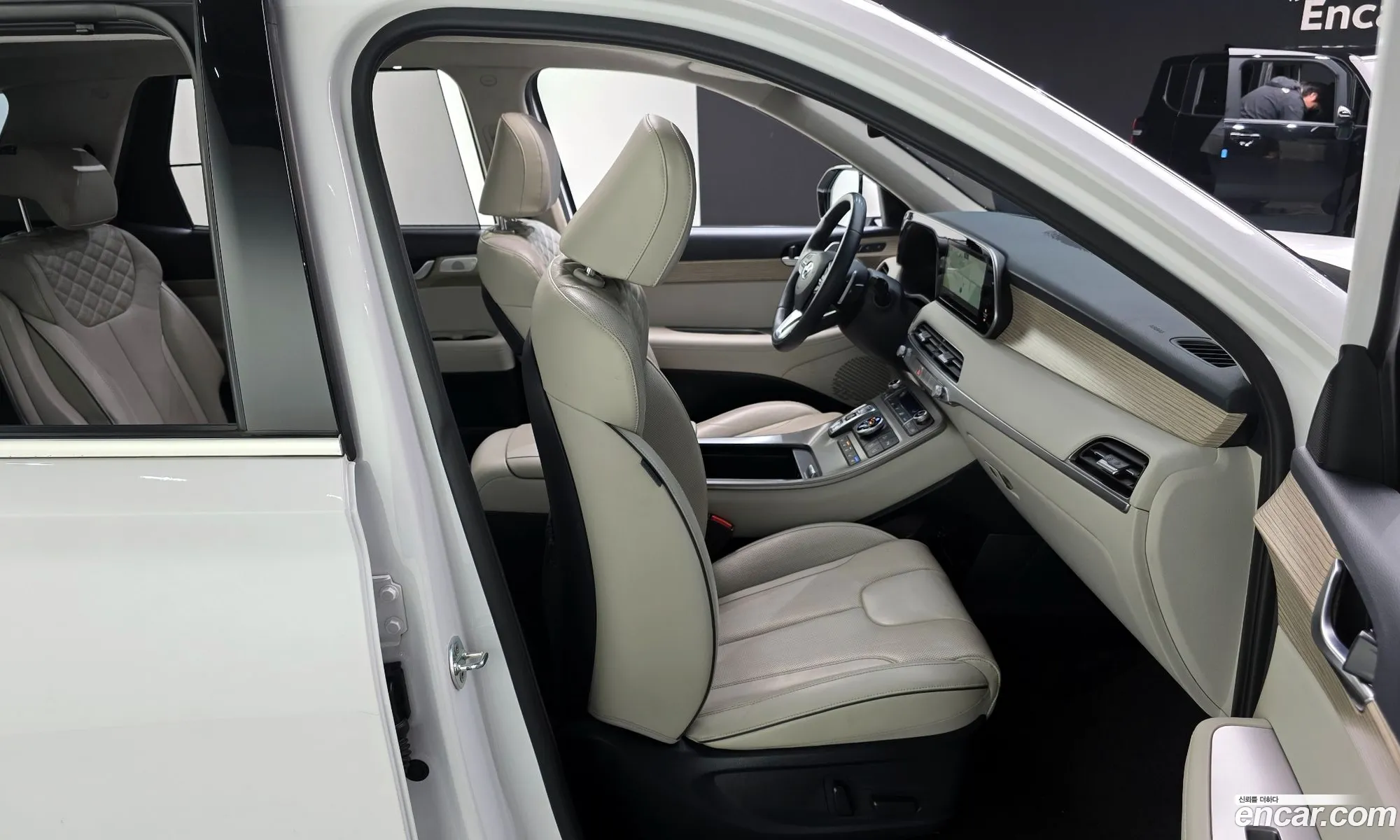 Hyundai Palisade 2019 — 19