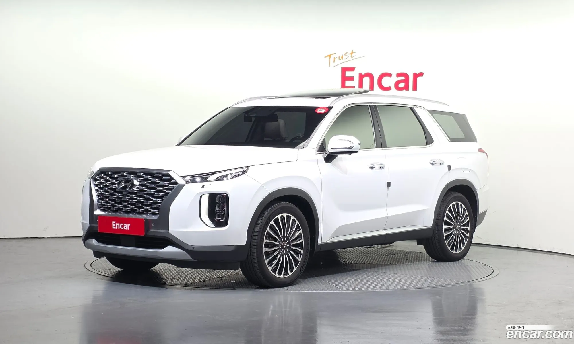 Hyundai Palisade 2019 — 7