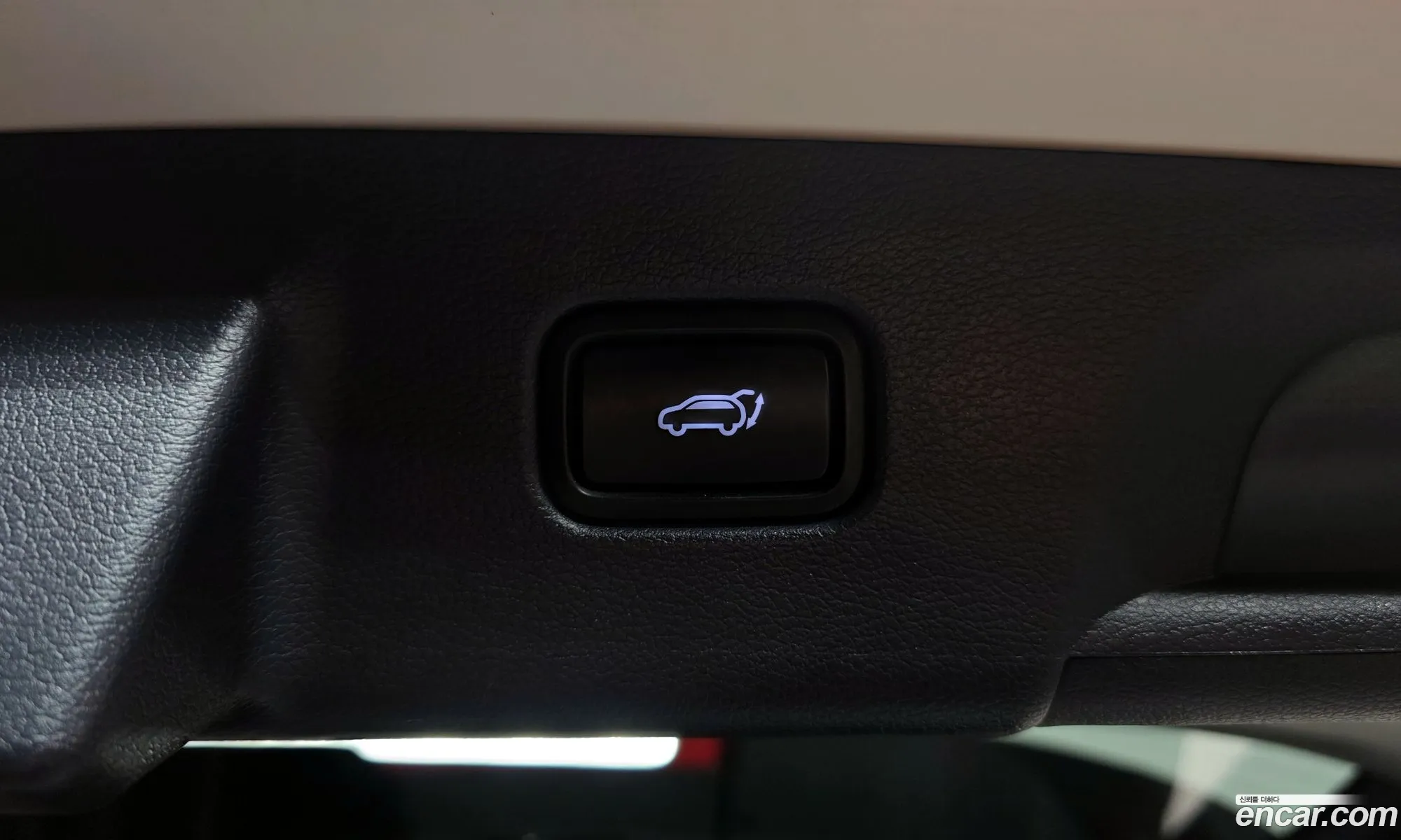 Hyundai Palisade 2019 — 8