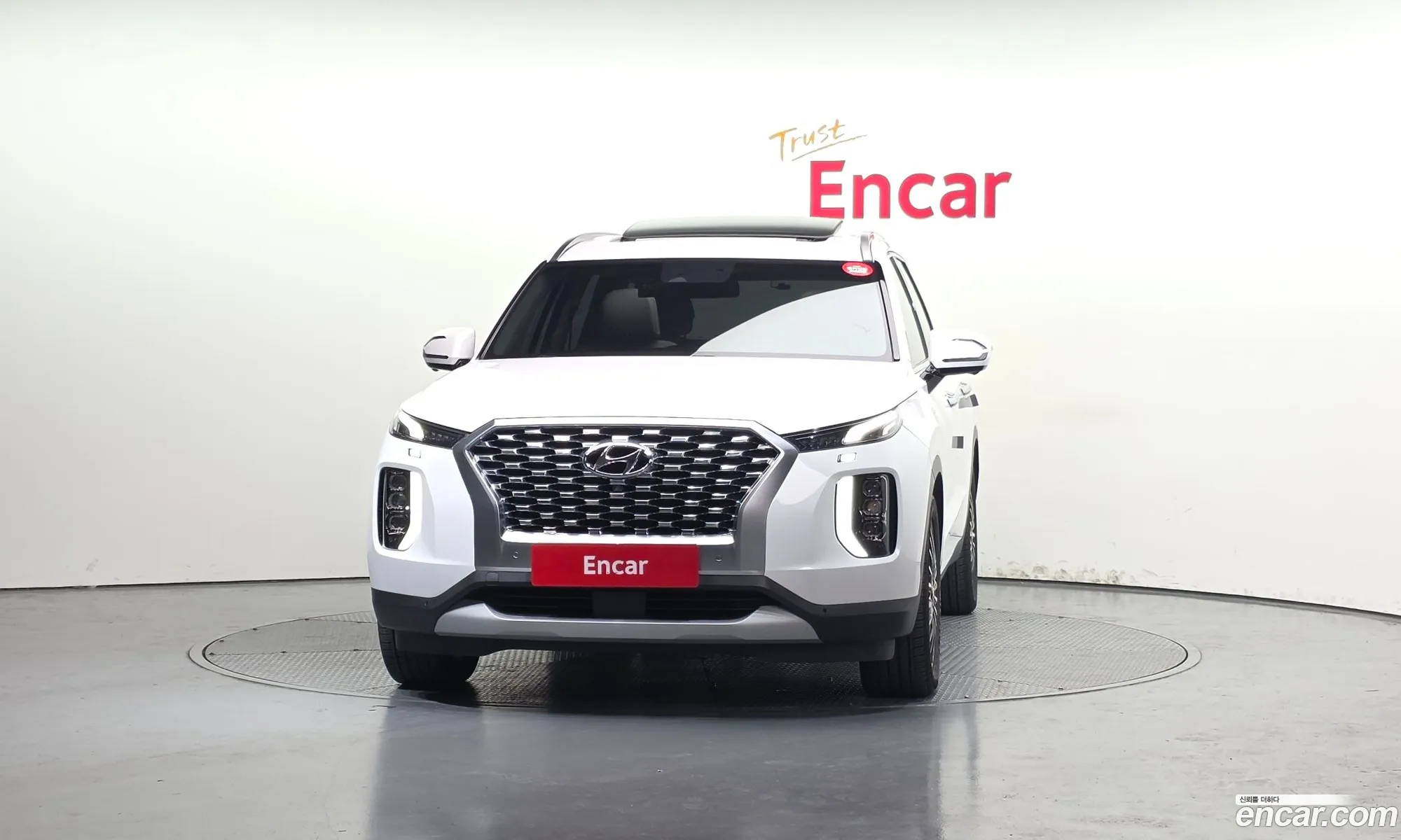 Hyundai Palisade 2019 — 12