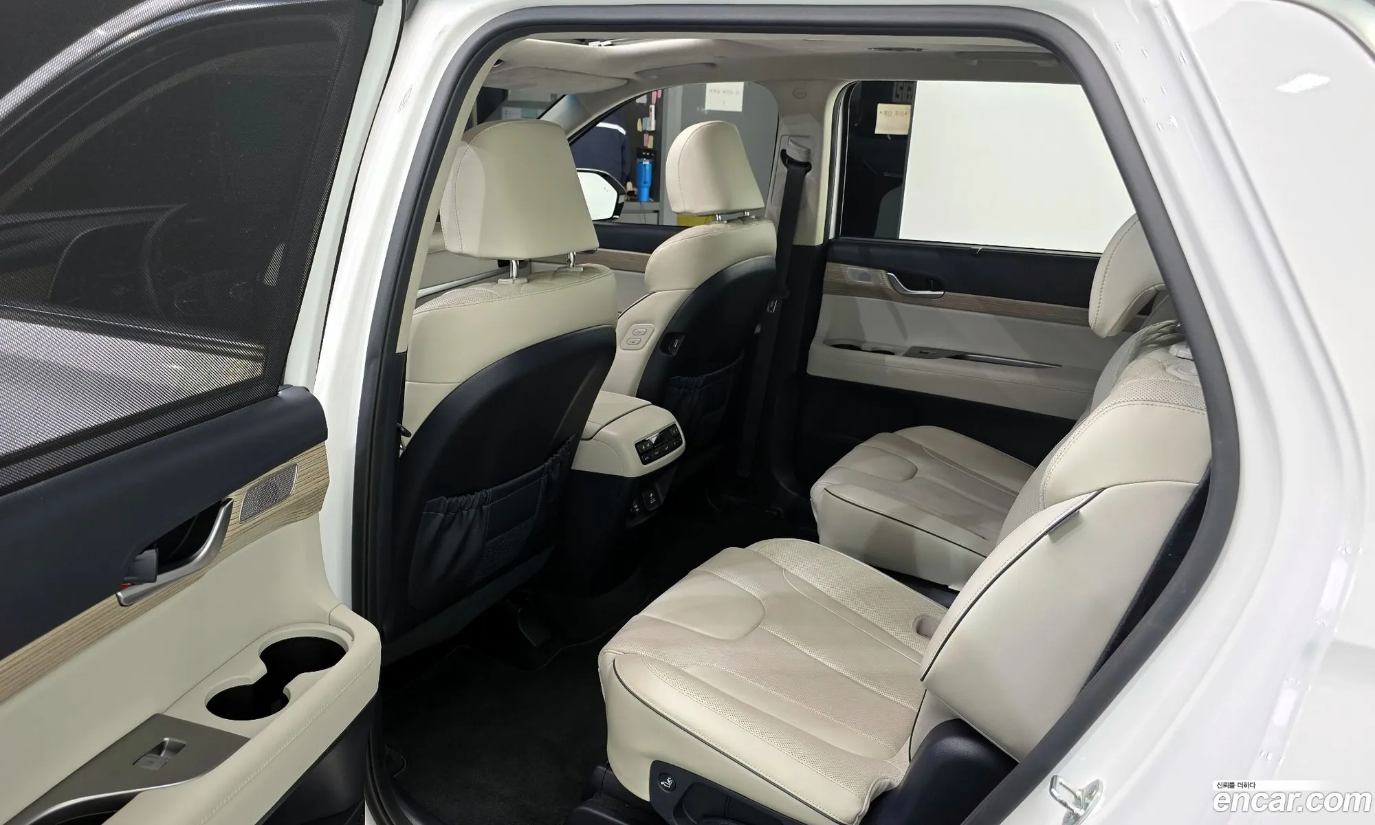 Hyundai Palisade 2019 — 20