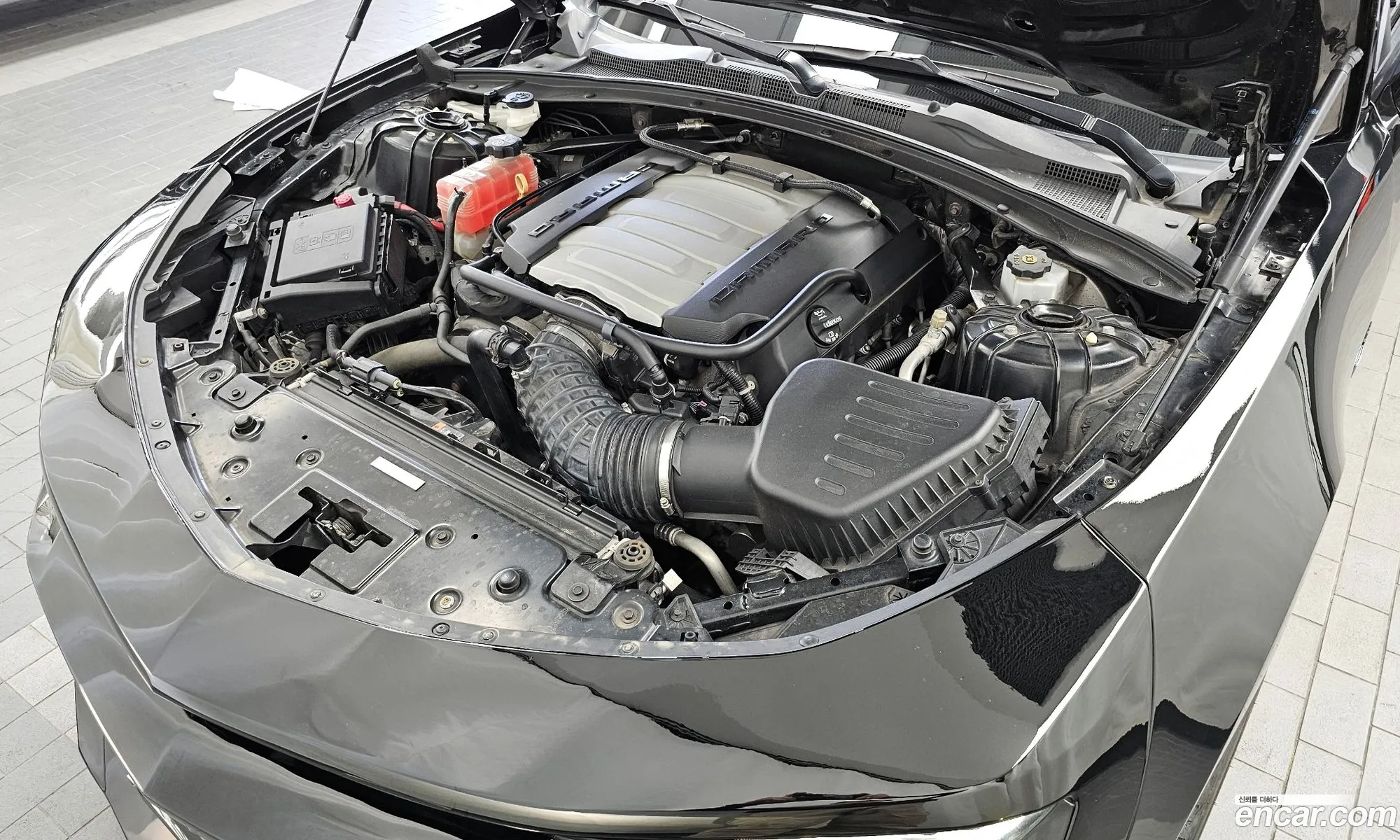 Chevrolet (GM Daewoo) Camaro