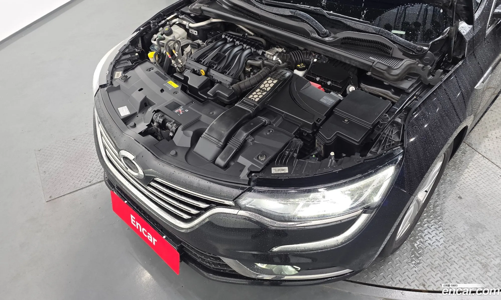 Renault Korea (Samsung) SM6 2019 — 3