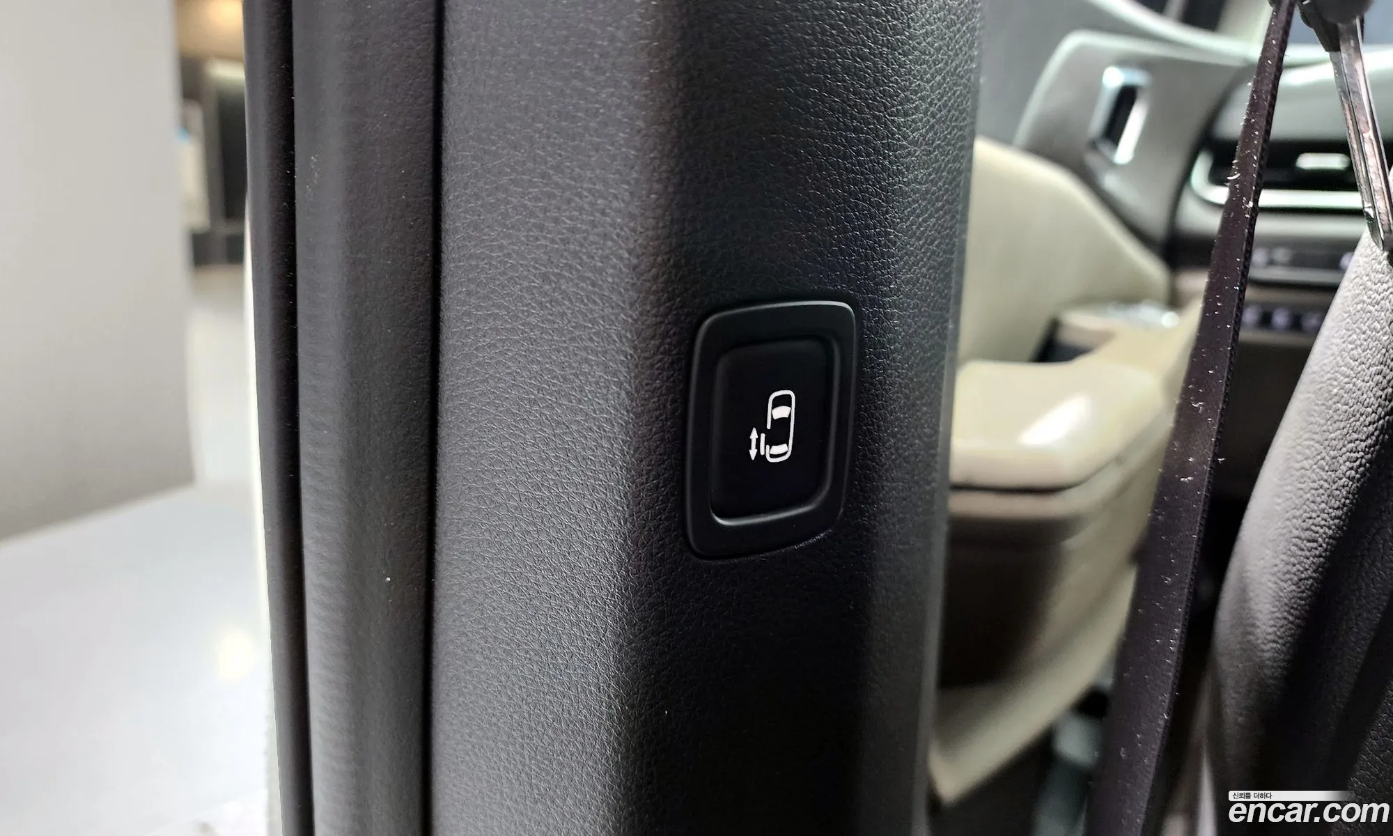 Kia Carnival 2024 — 31