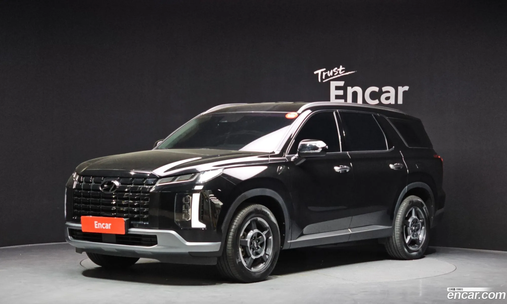 Hyundai Palisade 2022 — 8
