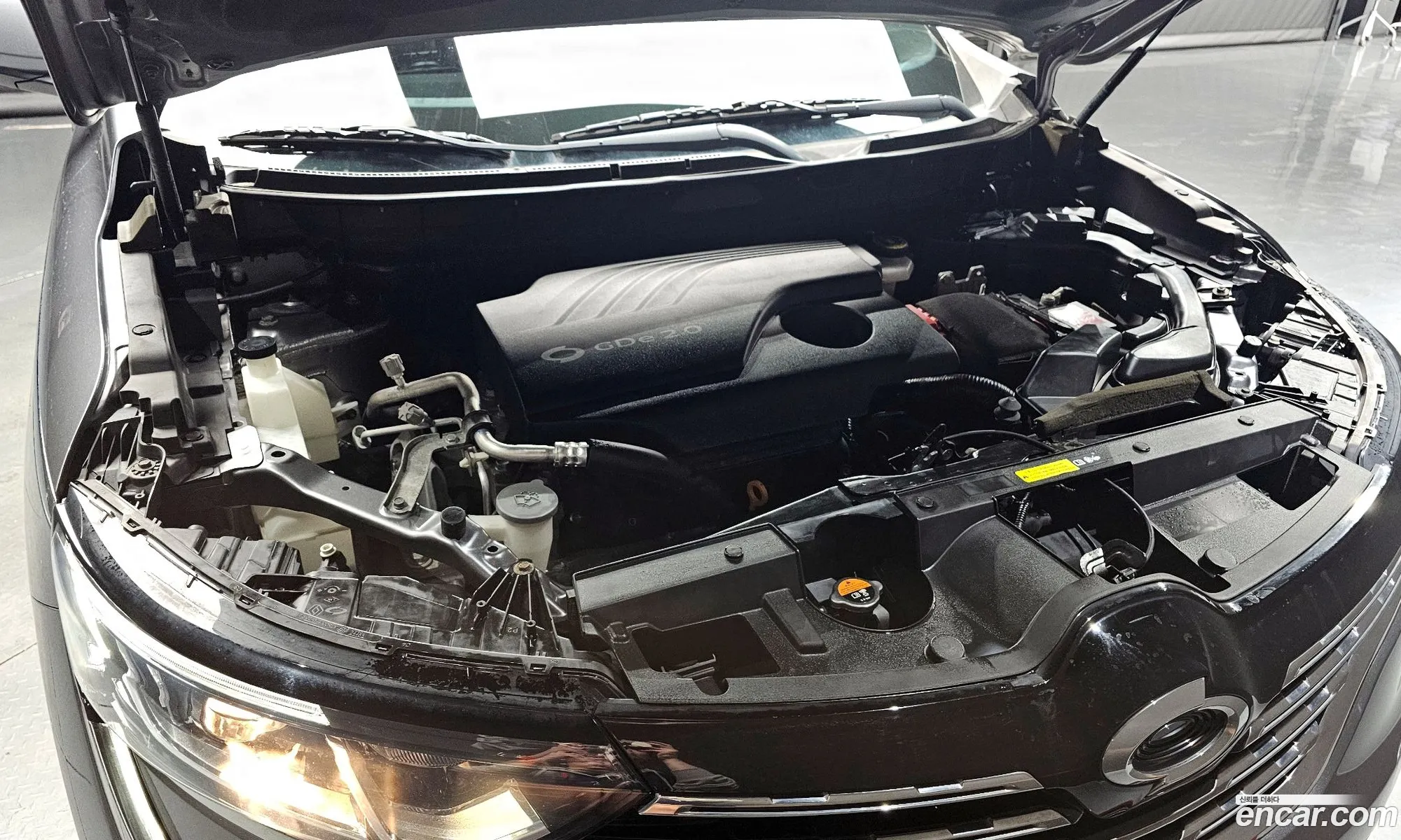 Renault Korea (Samsung) QM6 2019 — 19